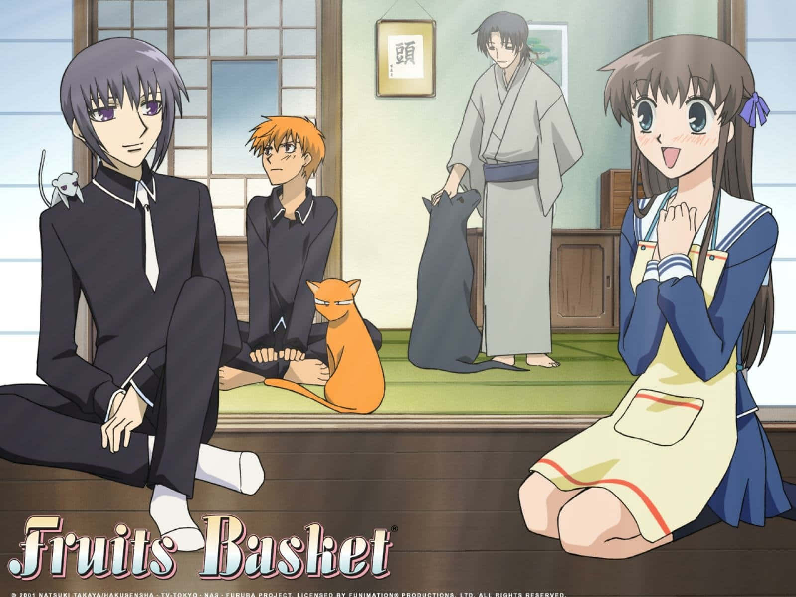 Fruits Basket Personages Verzameling Achtergrond