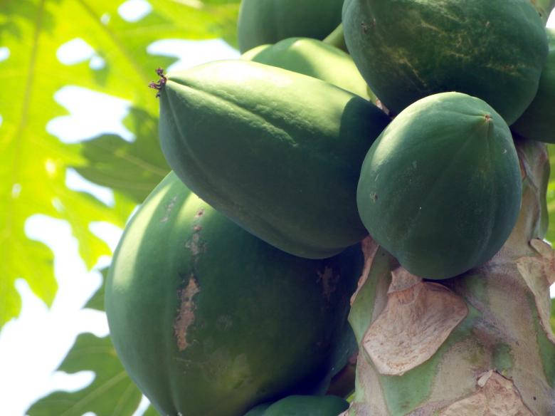 Frutasvendidas En Un Mercado. Fondo de pantalla