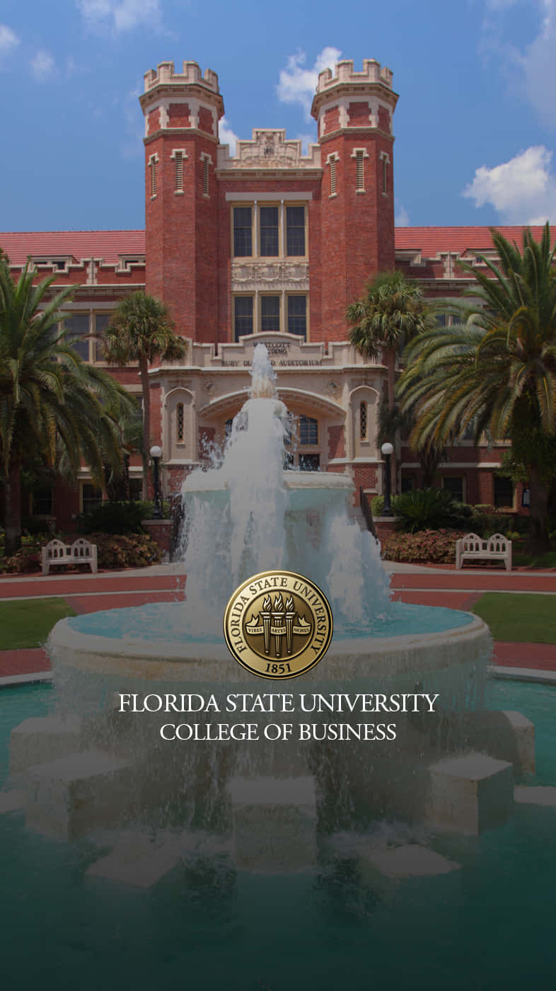 Universidadestatal De Florida - Fsuc Fondo de pantalla