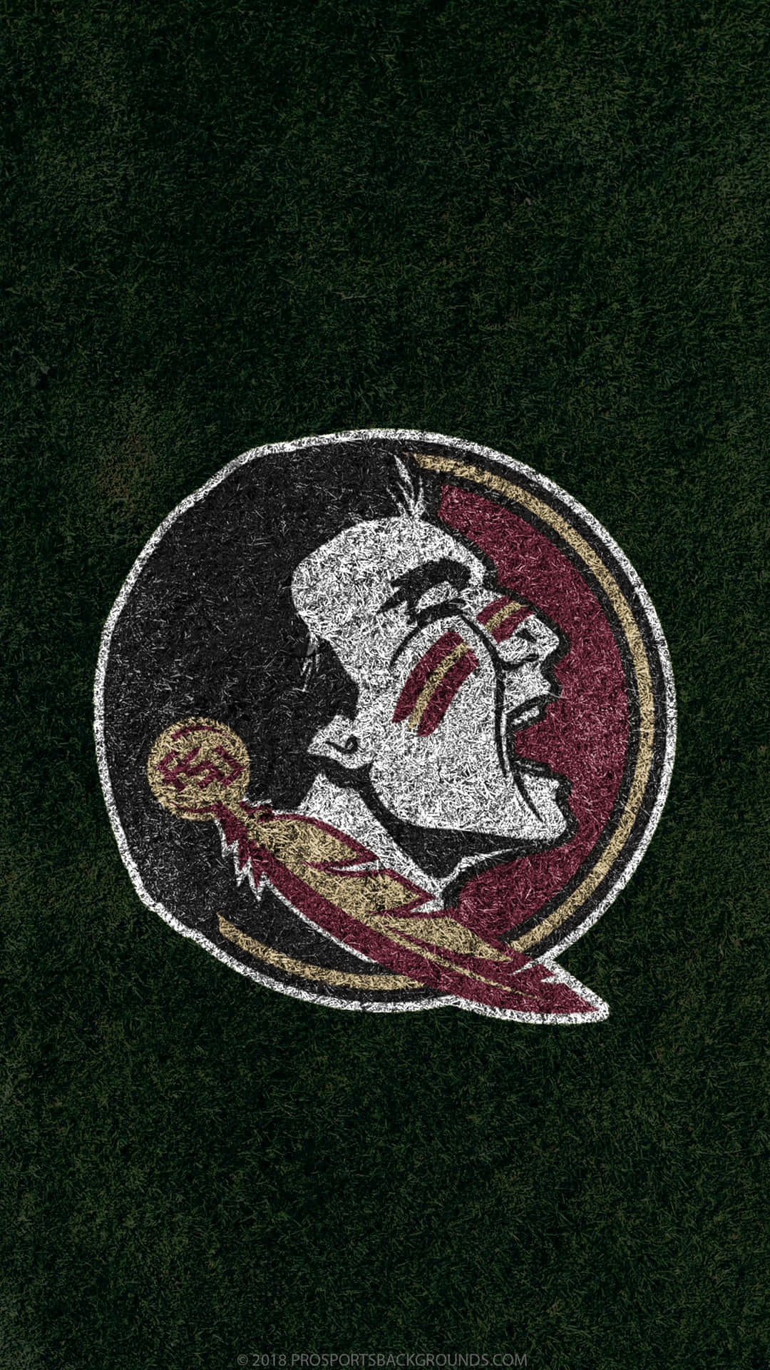 Free FSU Seminoles iPhone Wallpapers Install in seconds 21 to choose from  for every model   Florida state seminoles logo Fsu seminoles Florida  state football