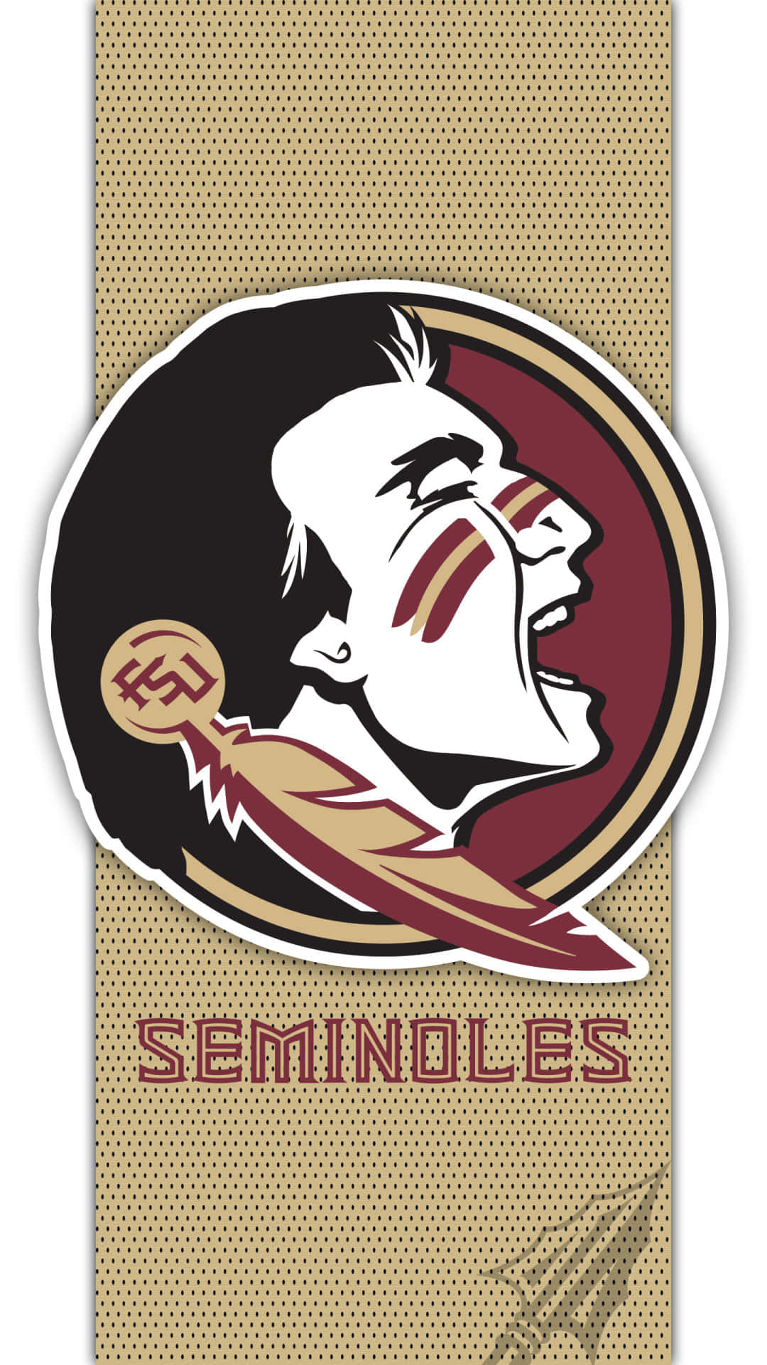 Florida State University Wallpapers 69 pictures