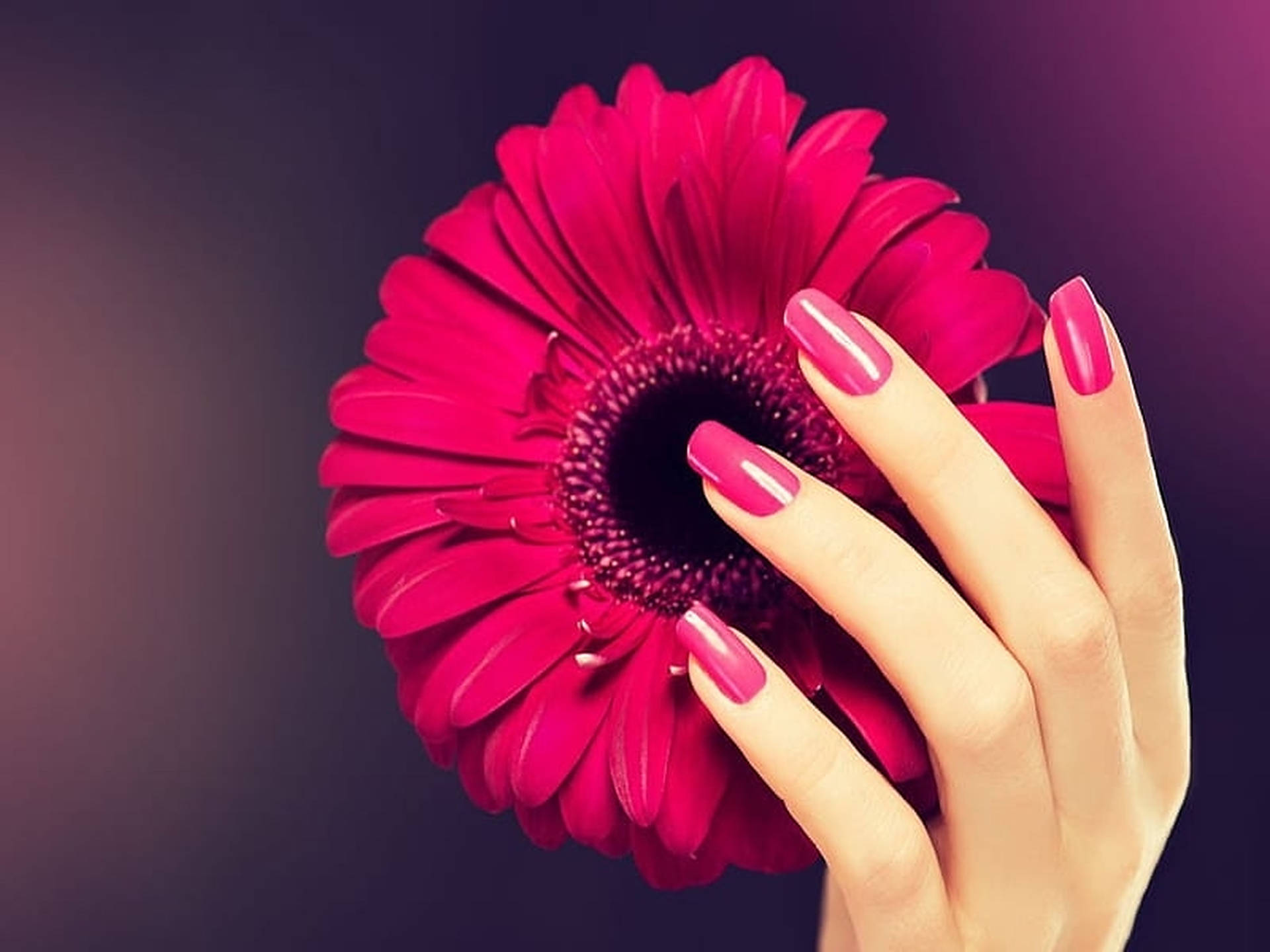 Fuchsia Pink Nails Wallpaper
