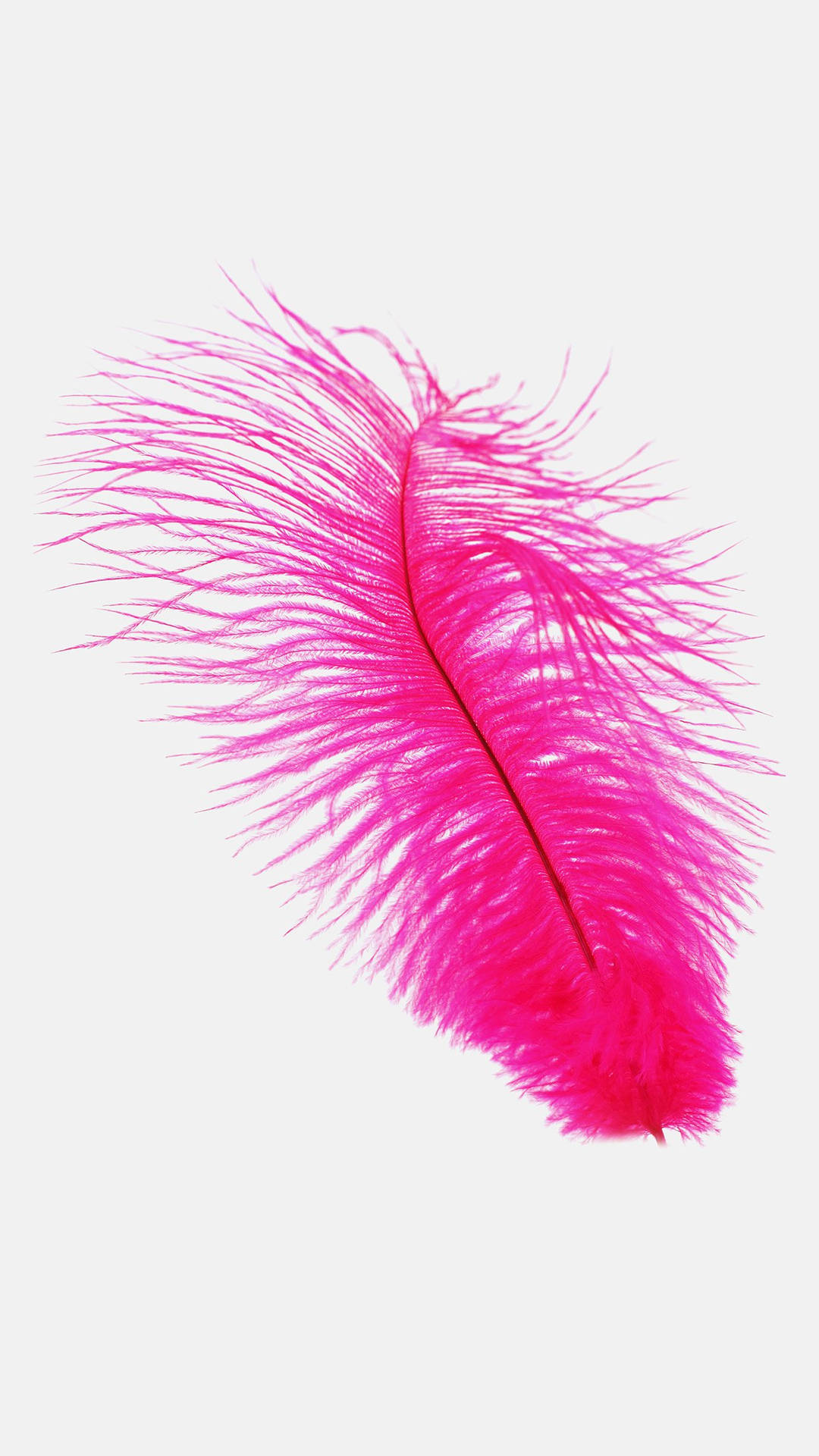 Fondode Pantalla Para Smartphone Con Plumas De Avestruz De Color Rosa Fucsia. Fondo de pantalla