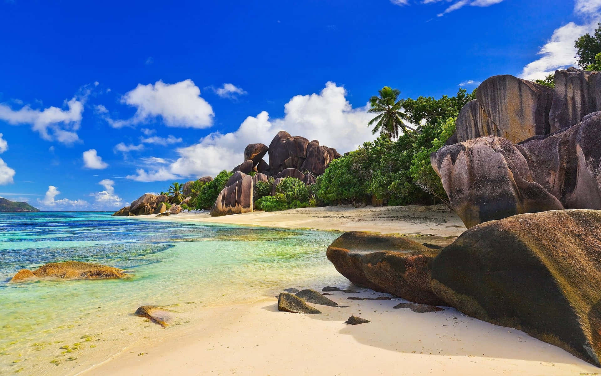 Fugaserena Sulla Spiaggia Tropicale