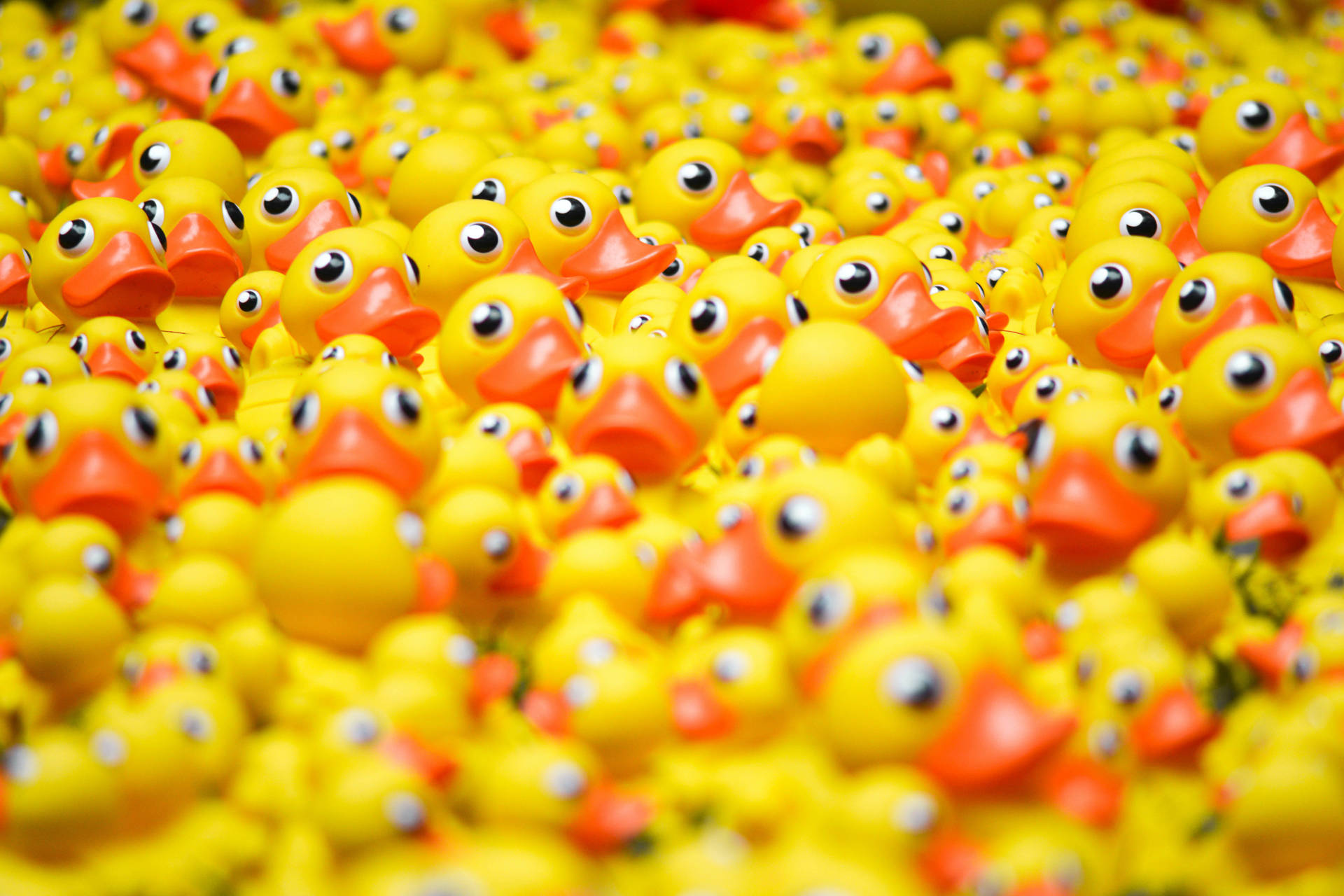 Full 4k Desktop Rubber Ducks Background