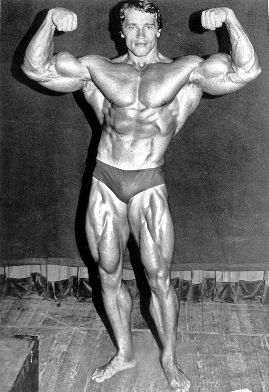 Full Body Arnold Schwarzenegger Wallpaper