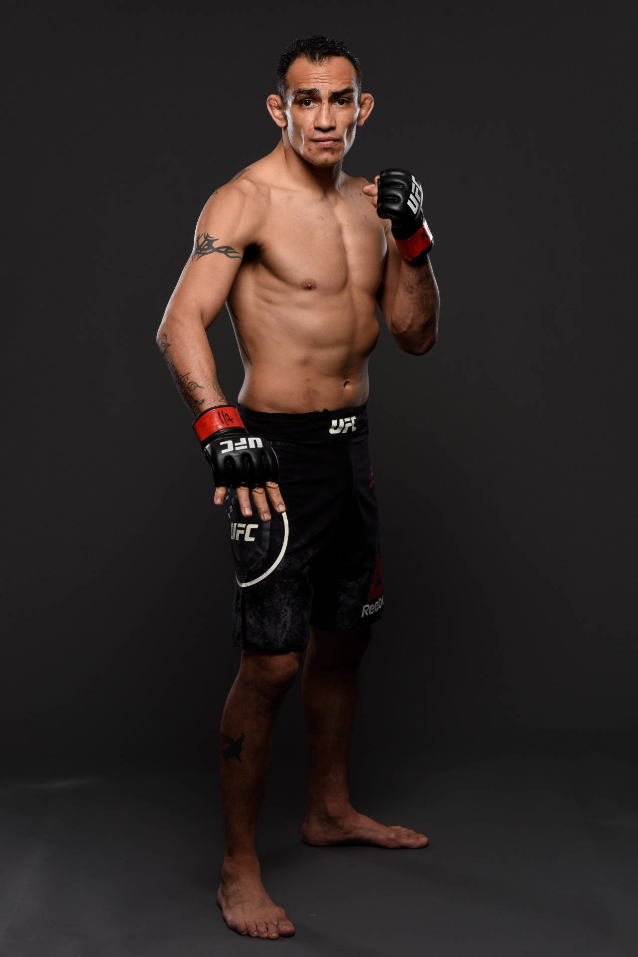 Wallpaper Fighter UFC Tony Ferguson El Cucuy images for desktop section  спорт  download