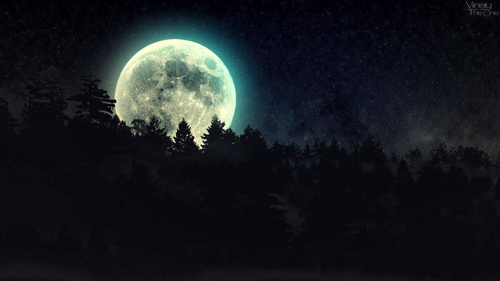 Exploring a Dark Forest Beneath a Full Moon Wallpaper