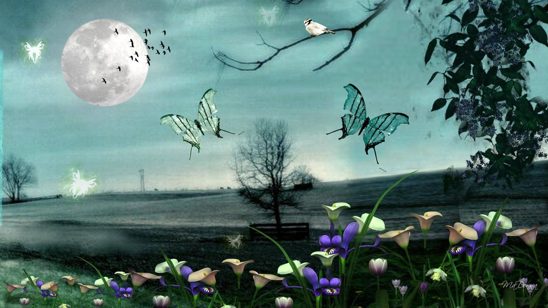 Full Moon Night Butterfly Meadow Wallpaper