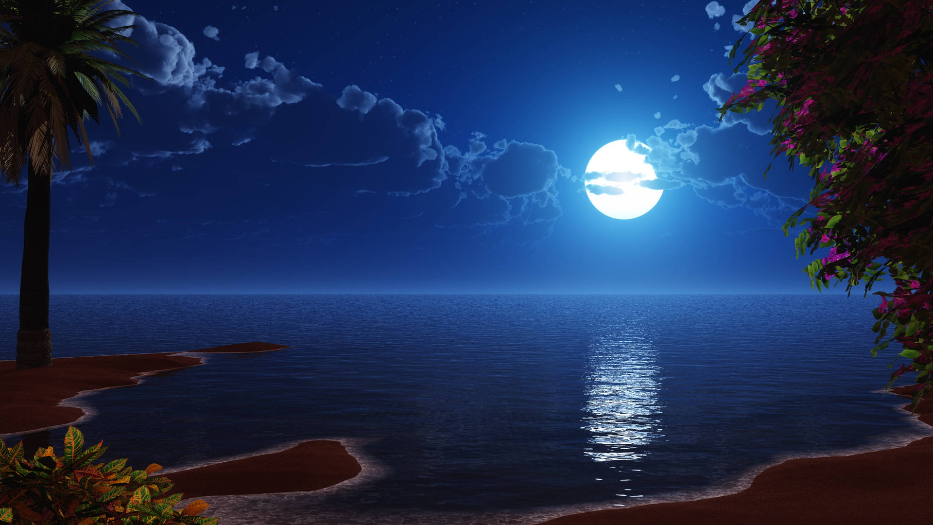 Full Moon Ocean Beach Night Wallpaper