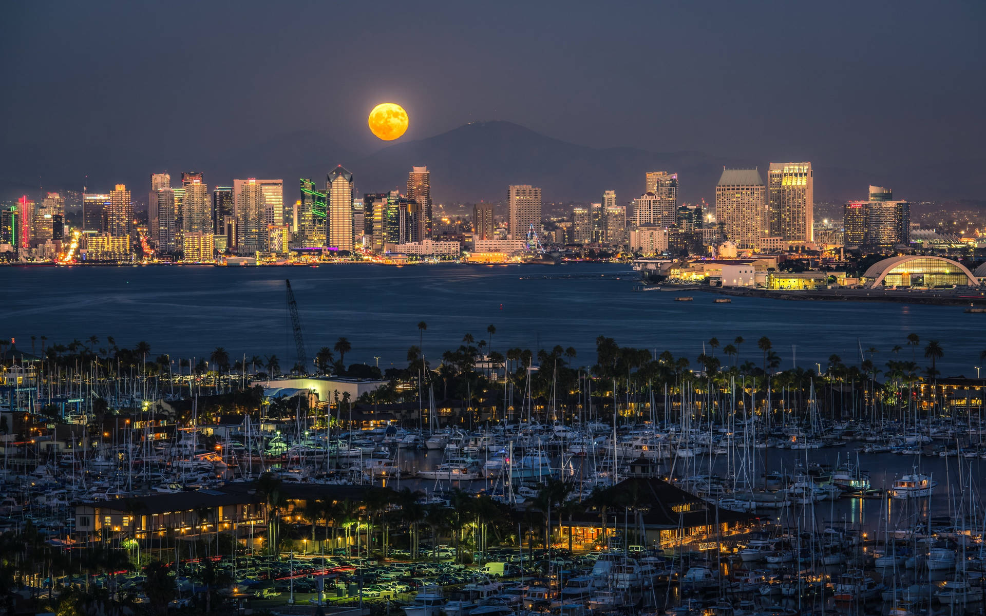 Full Moon Over San Diego Skyline Wallpaper