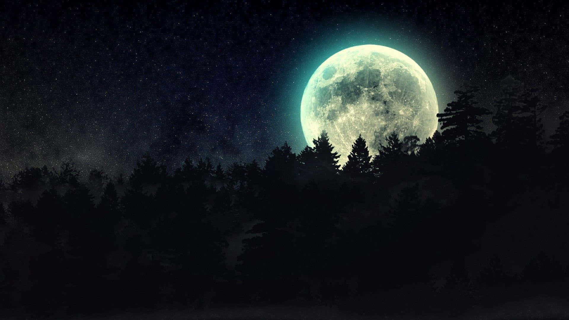 a full moon is seen over a forest