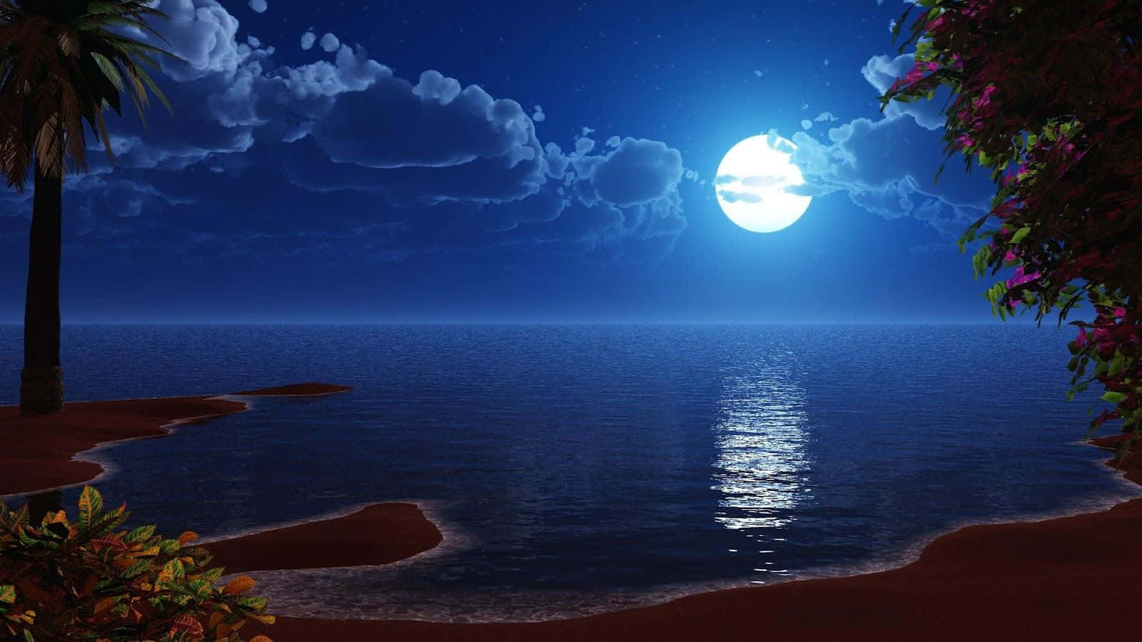 Einenächtliche Szene Mit Einem Beleuchteten Mond, Palmen Und Einem Strand.