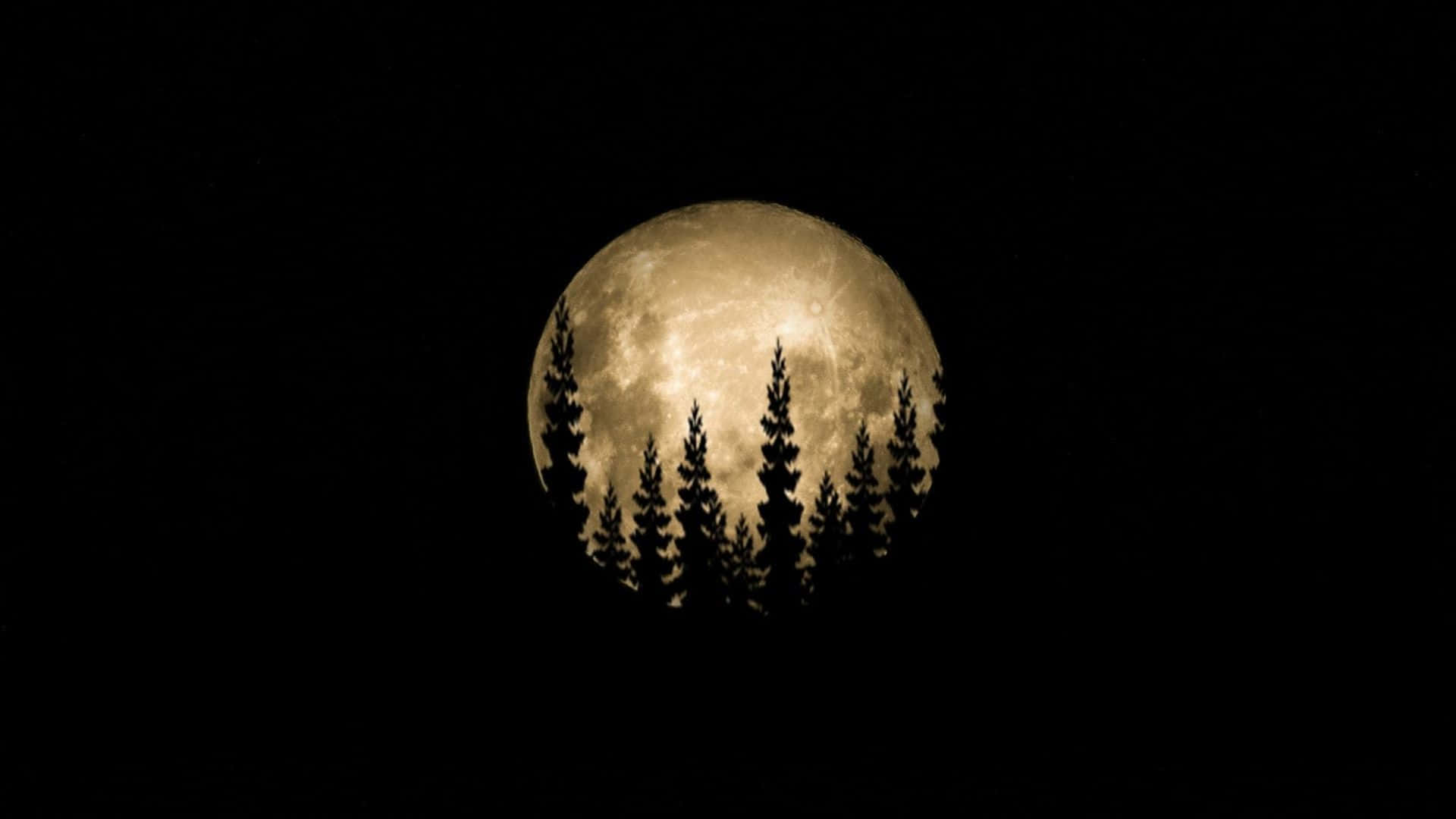 a moon with trees in the background