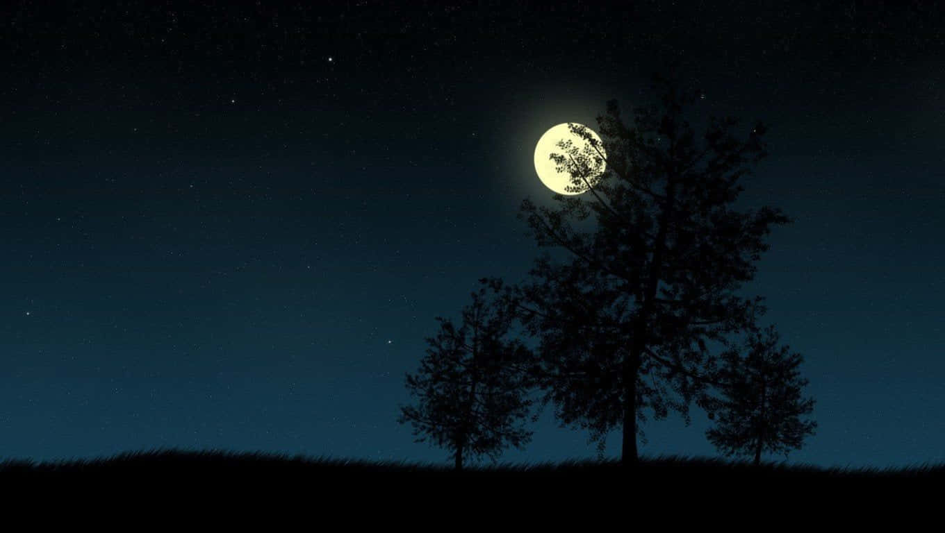 a night sky with trees and a moon