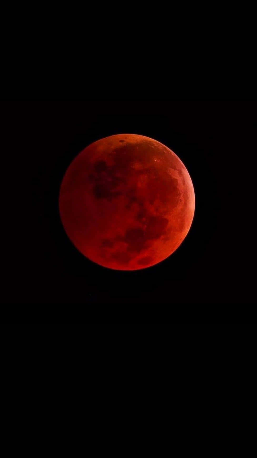 a blood moon is seen in the sky