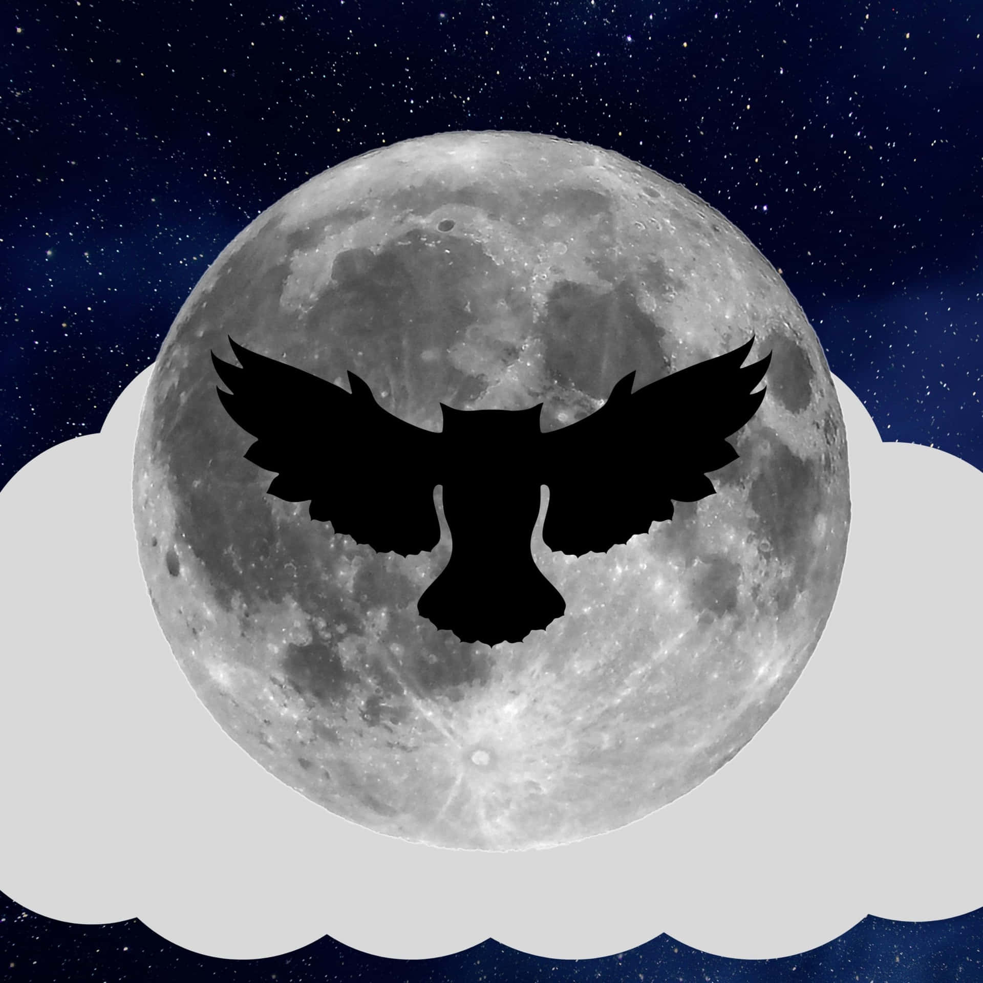 a silhouette of an owl with wings in the sky
