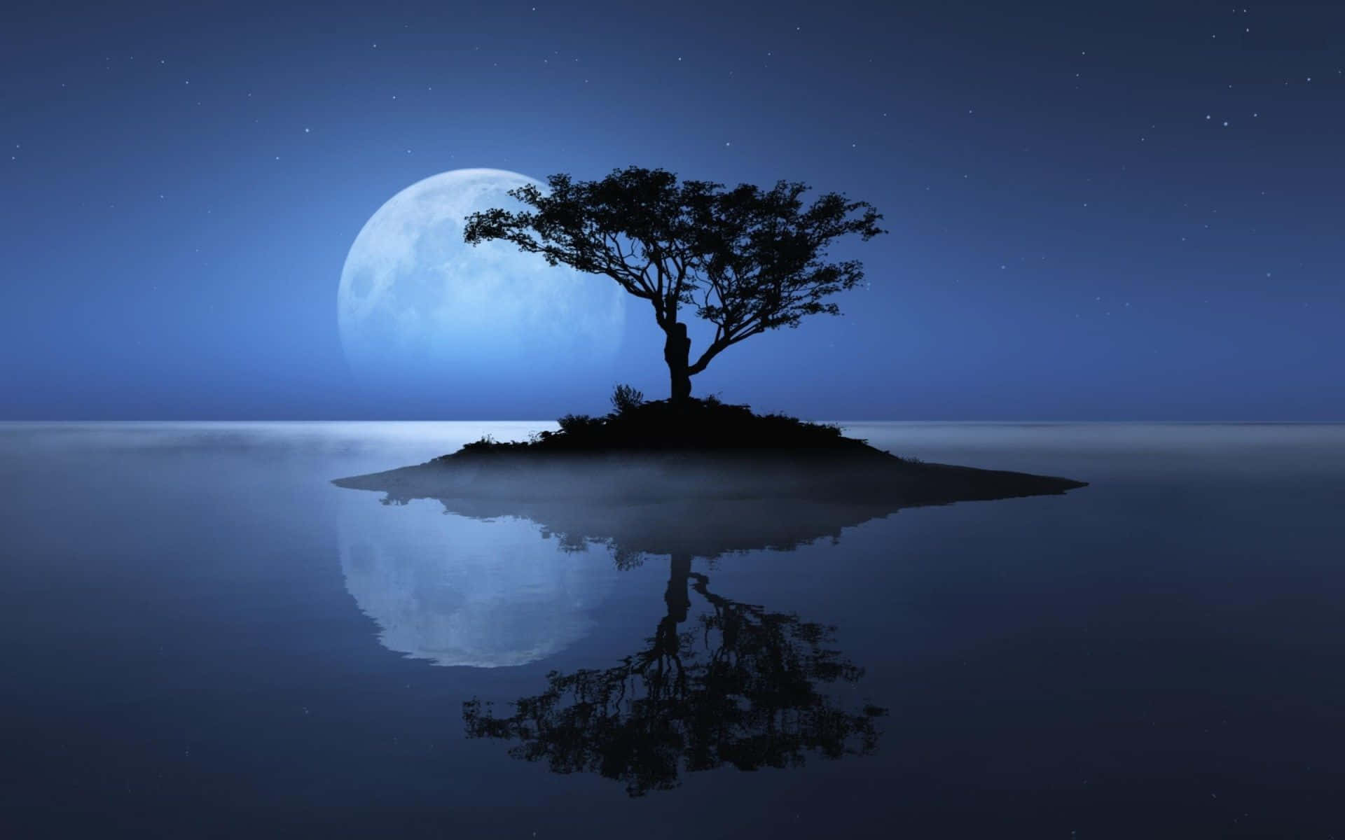 Ettträd På En Ö Med Månen I Bakgrunden