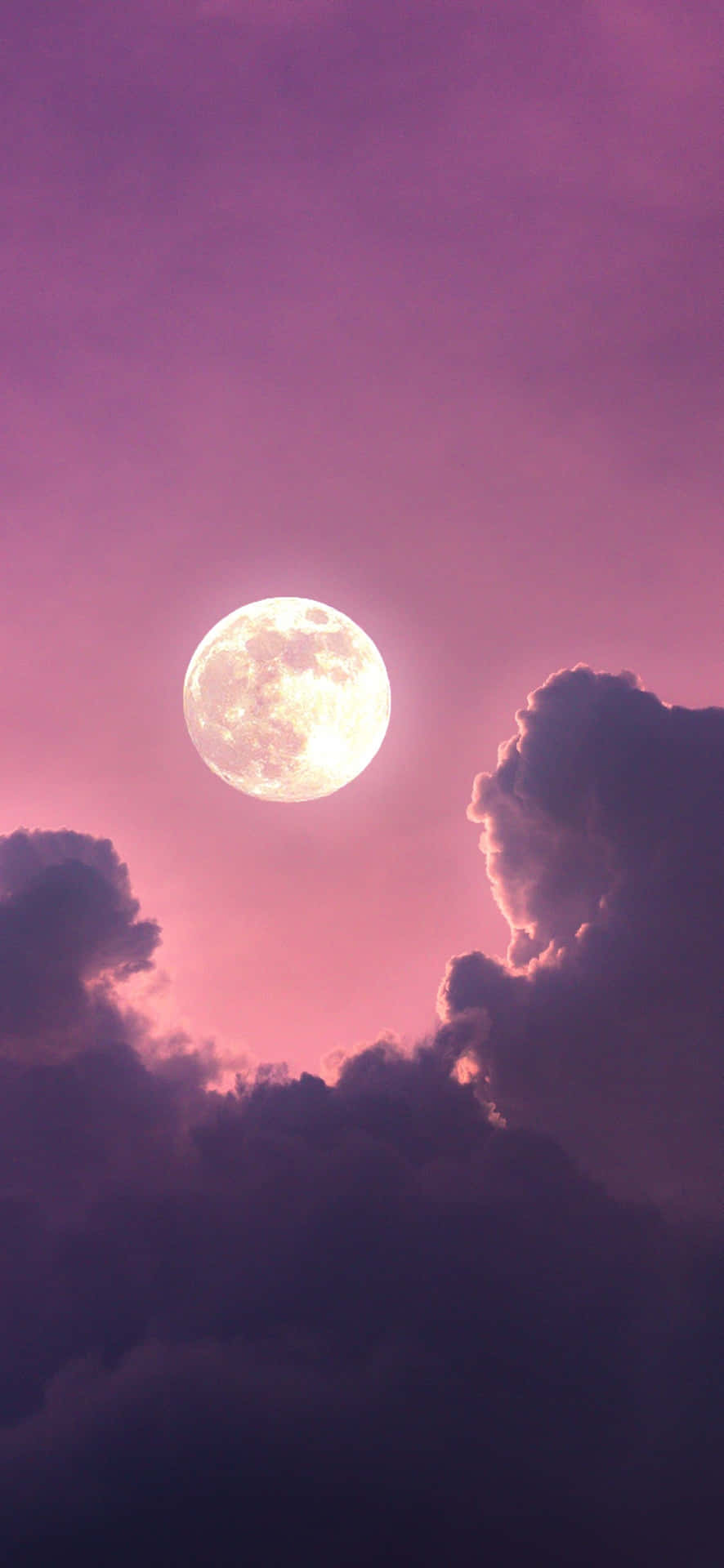 Full Moon Pink Sky Wallpaper