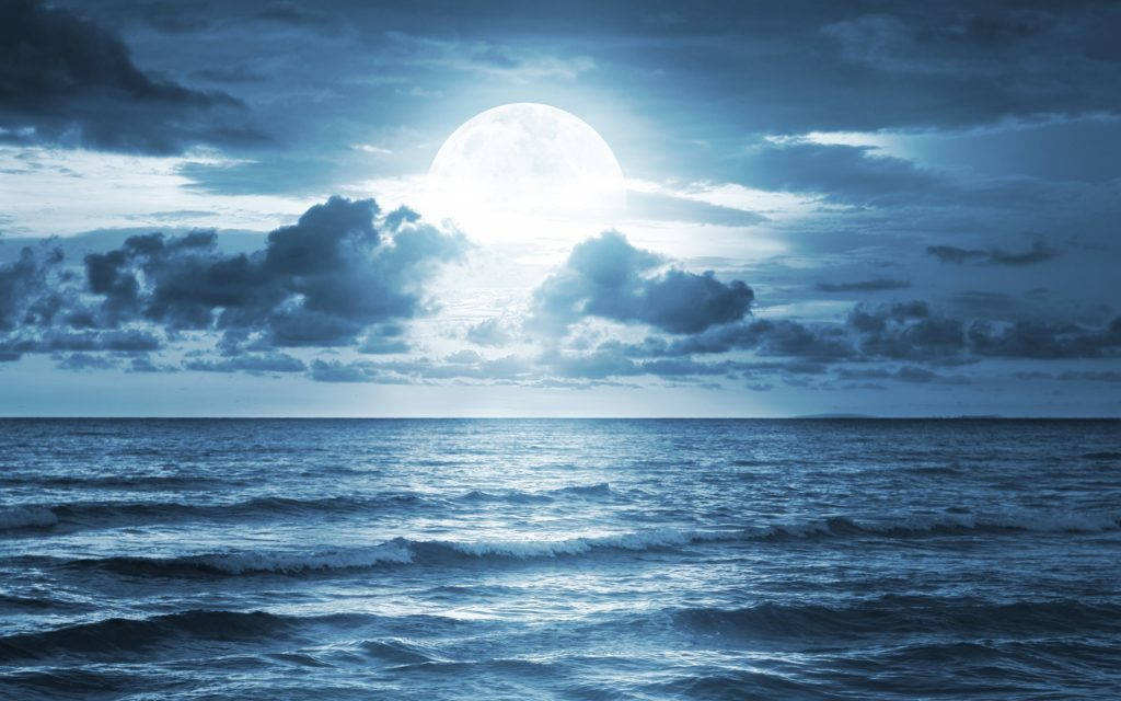 Full Moonlight Over Ocean Wallpaper