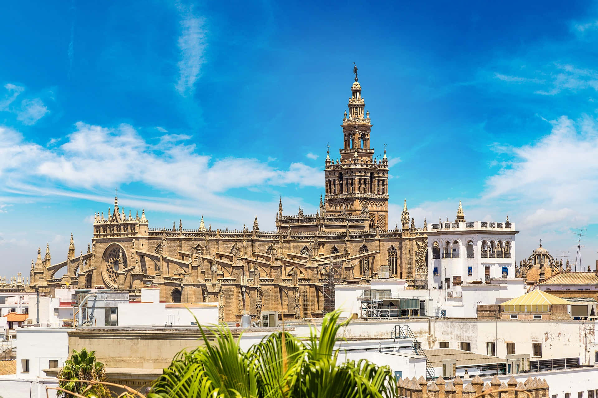 Full Photo Of Seville Cathedral Wallpaper
