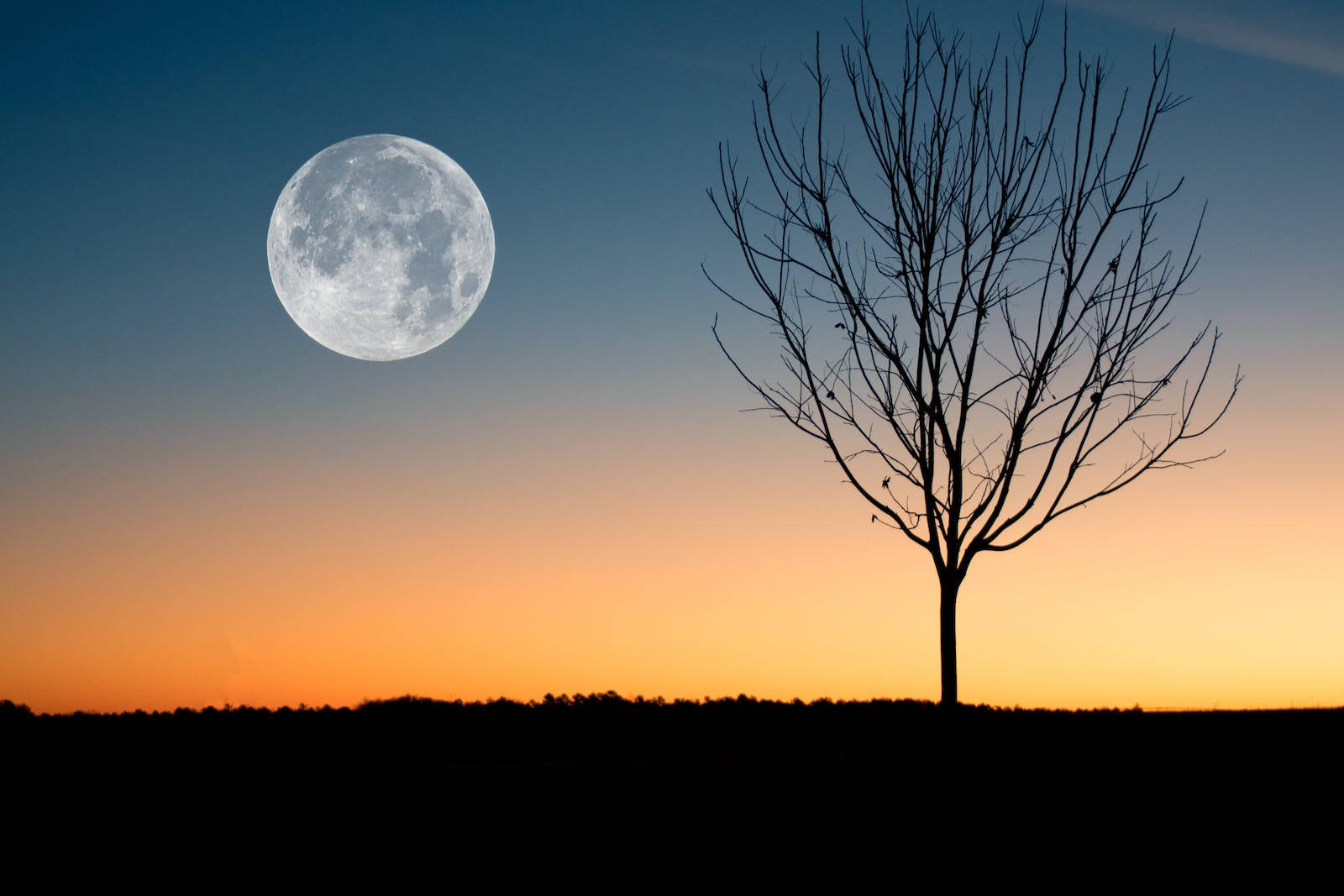 Pantallacompleta De La Luna Al Amanecer En Alta Definición. Fondo de pantalla