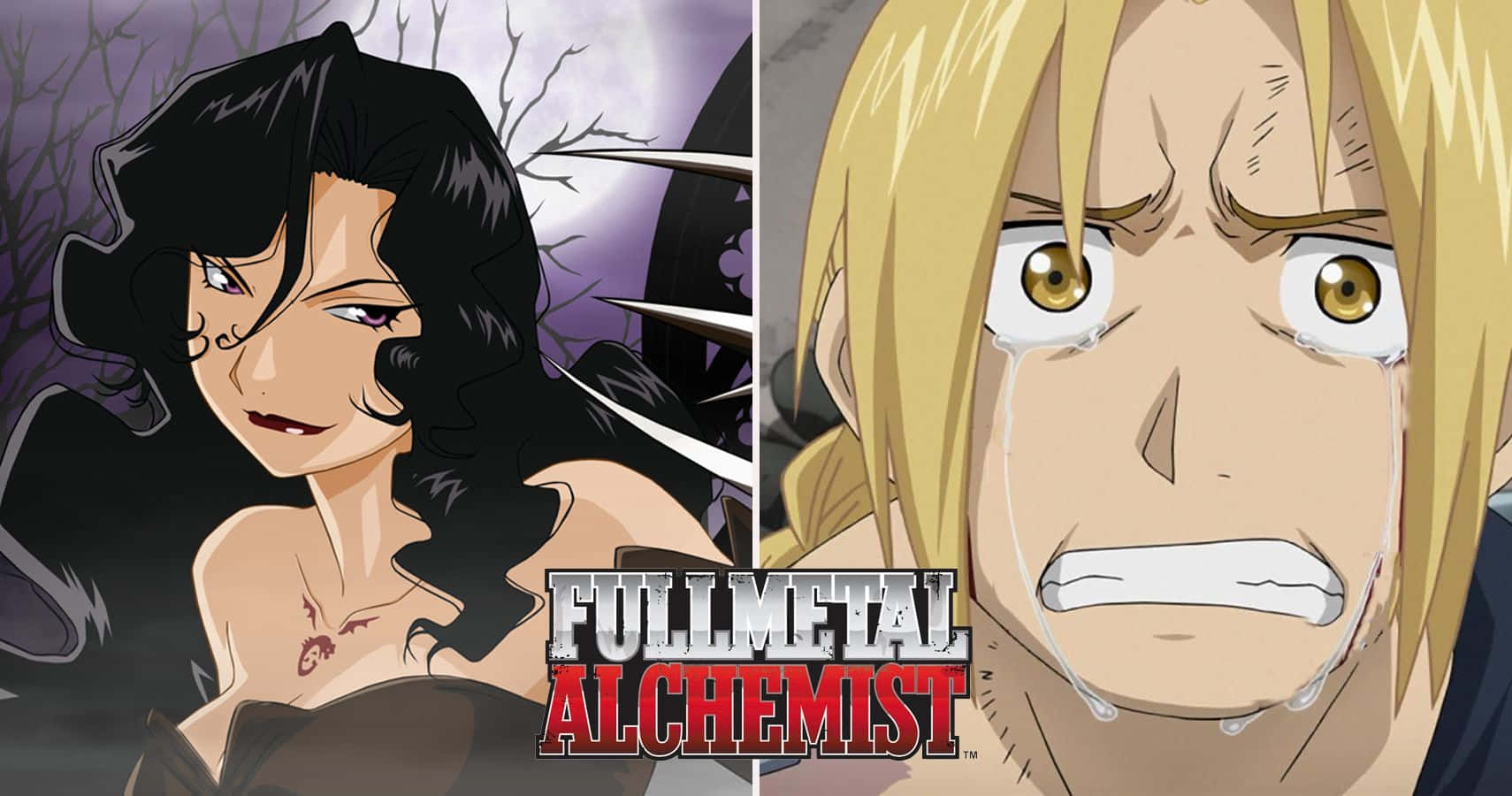 Imagende Fullmetal Alchemist Con Reiko Akiba Y Edward.
