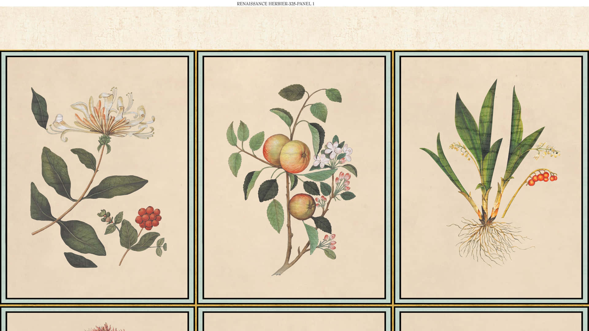 Four Botanical Prints With Different Plants And Flowers Wallpaper