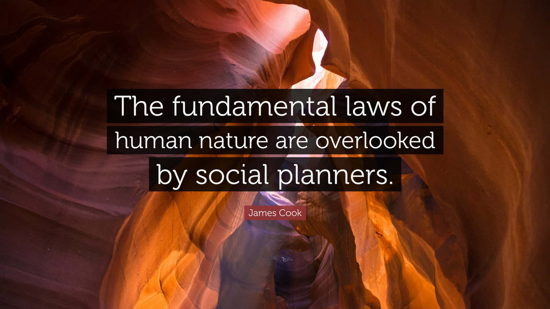 Fundamental Laws Of Human Nature Wallpaper