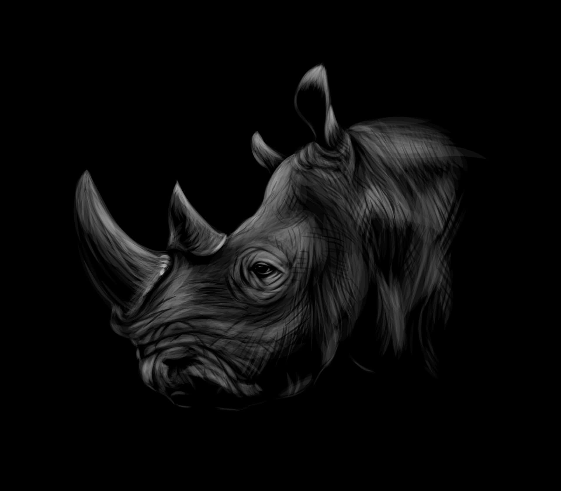 Fundode Rinoceronte