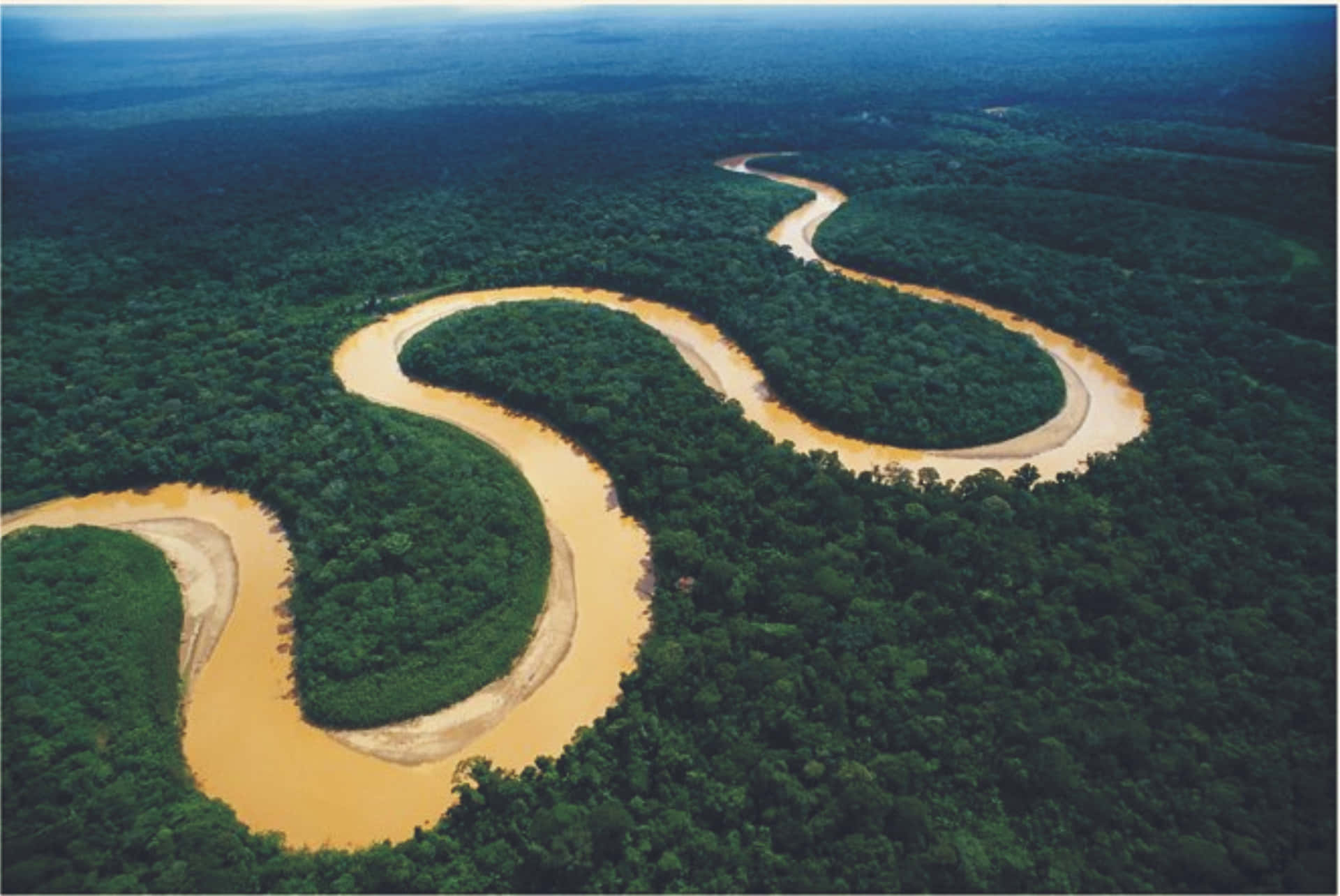 Fundode Tela Da Amazônia