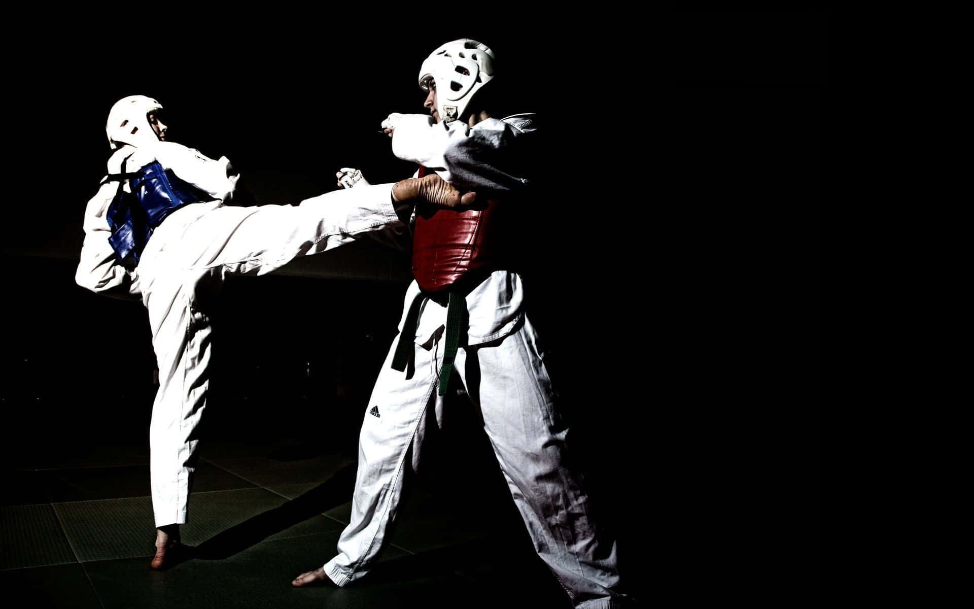 Fundode Tela De Taekwondo