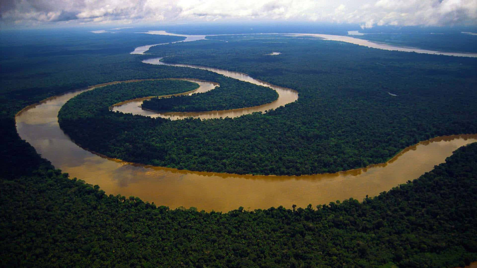 Fundode Tela Do Amazonas