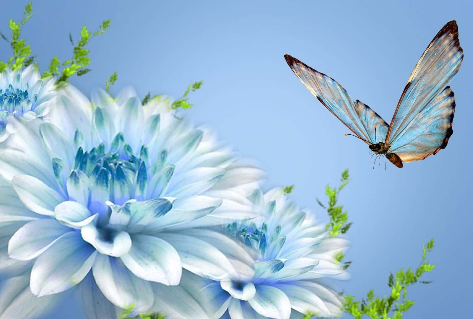 Blue Butterfly Flying Over Blue Flowers