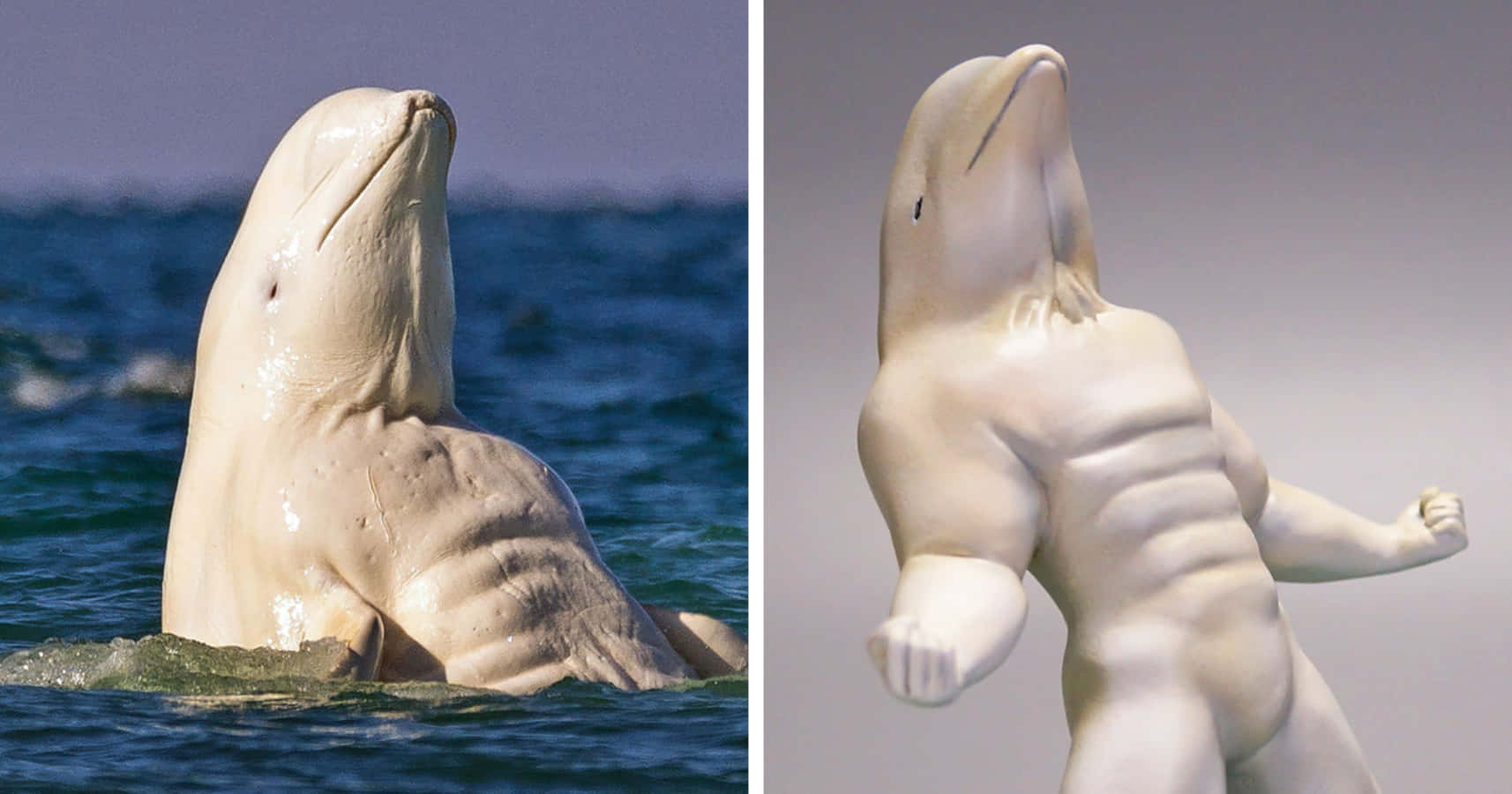 Imágeneseditadas Graciosas De Delfines Musculosos Con Animales En Contextos Divertidos.