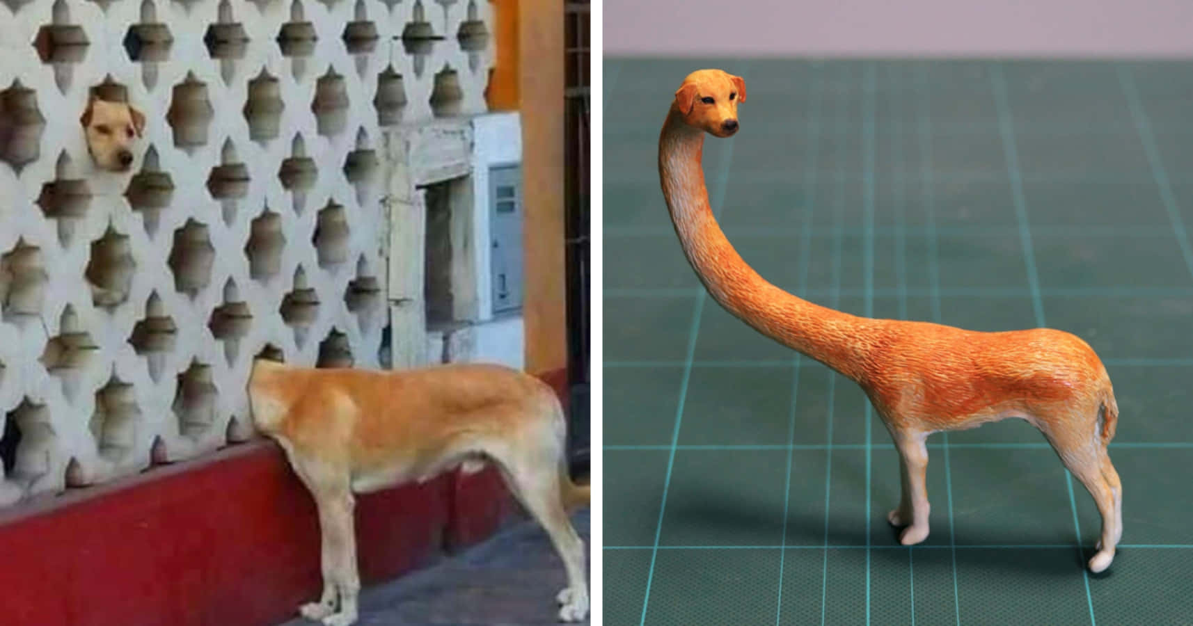 Funny Animal Long Neck Dog Edit Pictures
