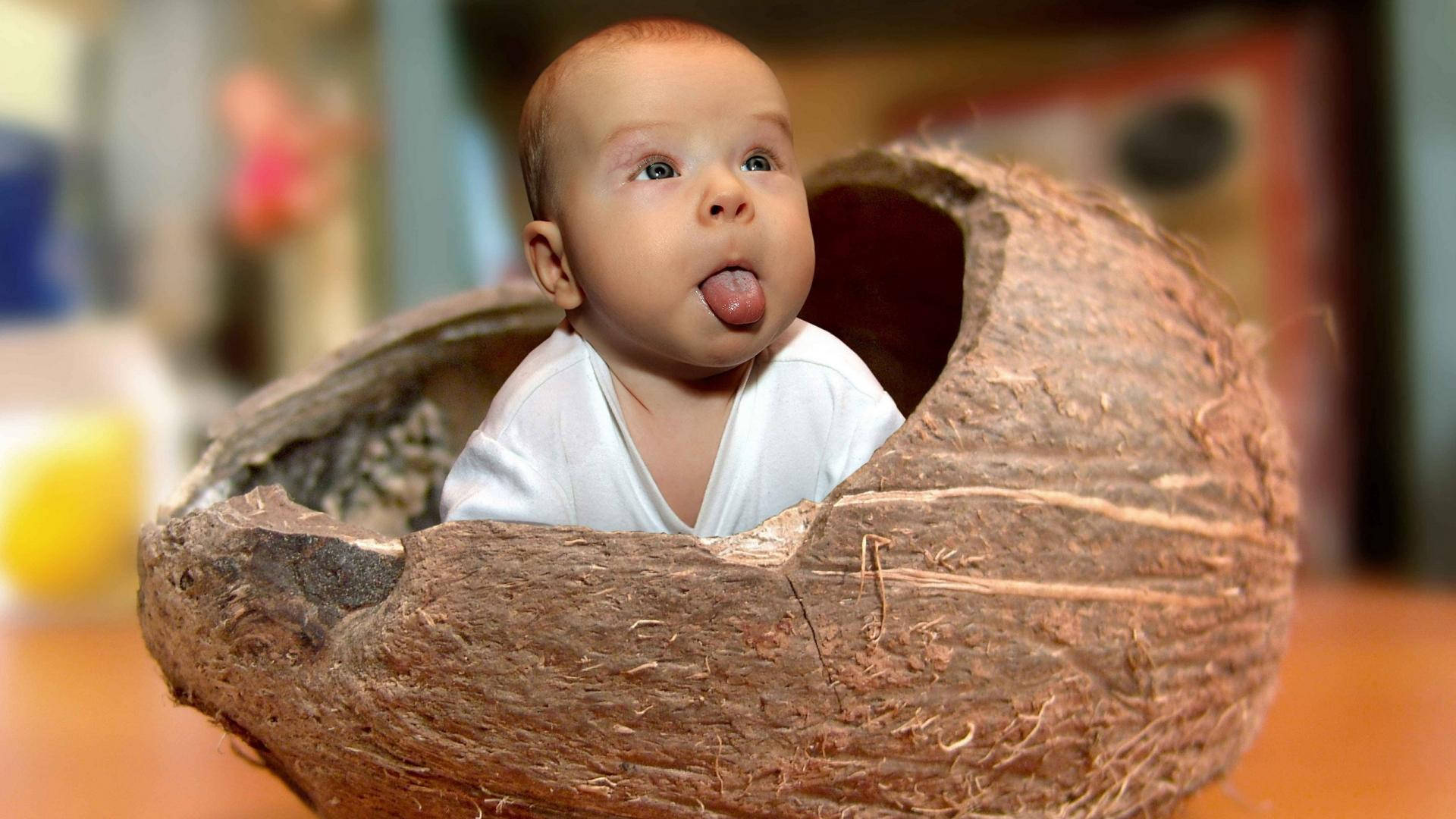 "Tropical Tots: Hilarious Moment of Cute Baby in a Coconut Shell" Wallpaper