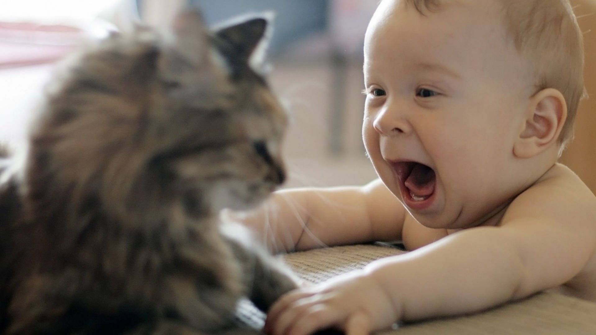 Divertidobebé Con Gato Fondo de pantalla