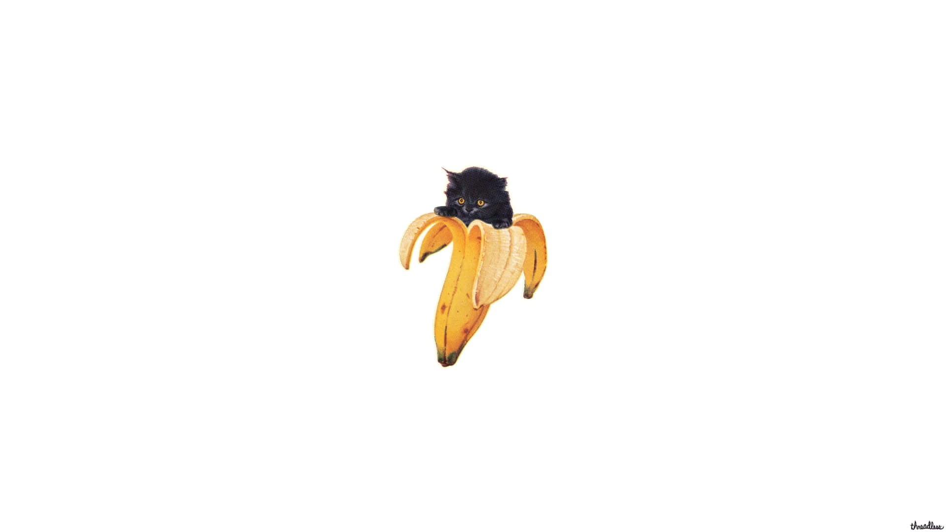 Divertidofondo De Pantalla De Gato Negro Con Plátano
