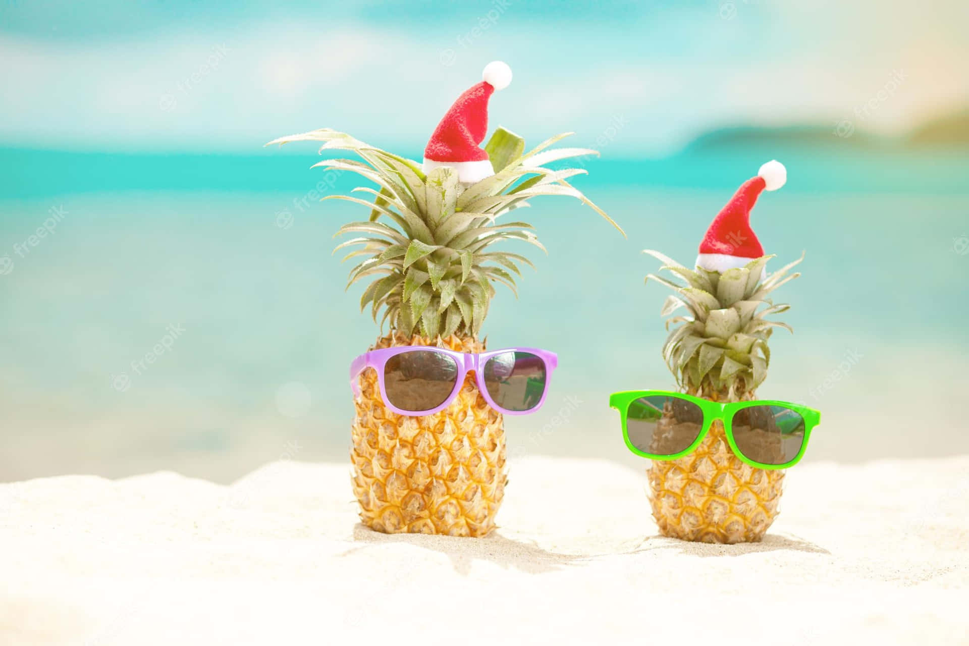 Christmas Pineapples Funny Beach Picture