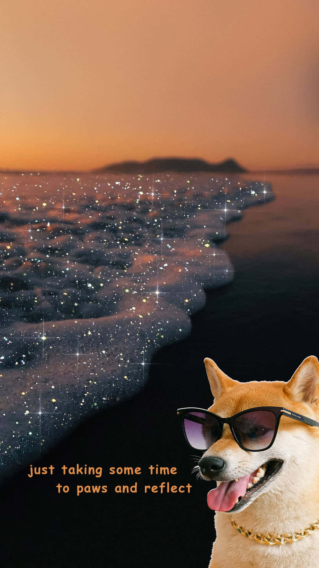 Funny Beach Doge With Sunglasses Picture
