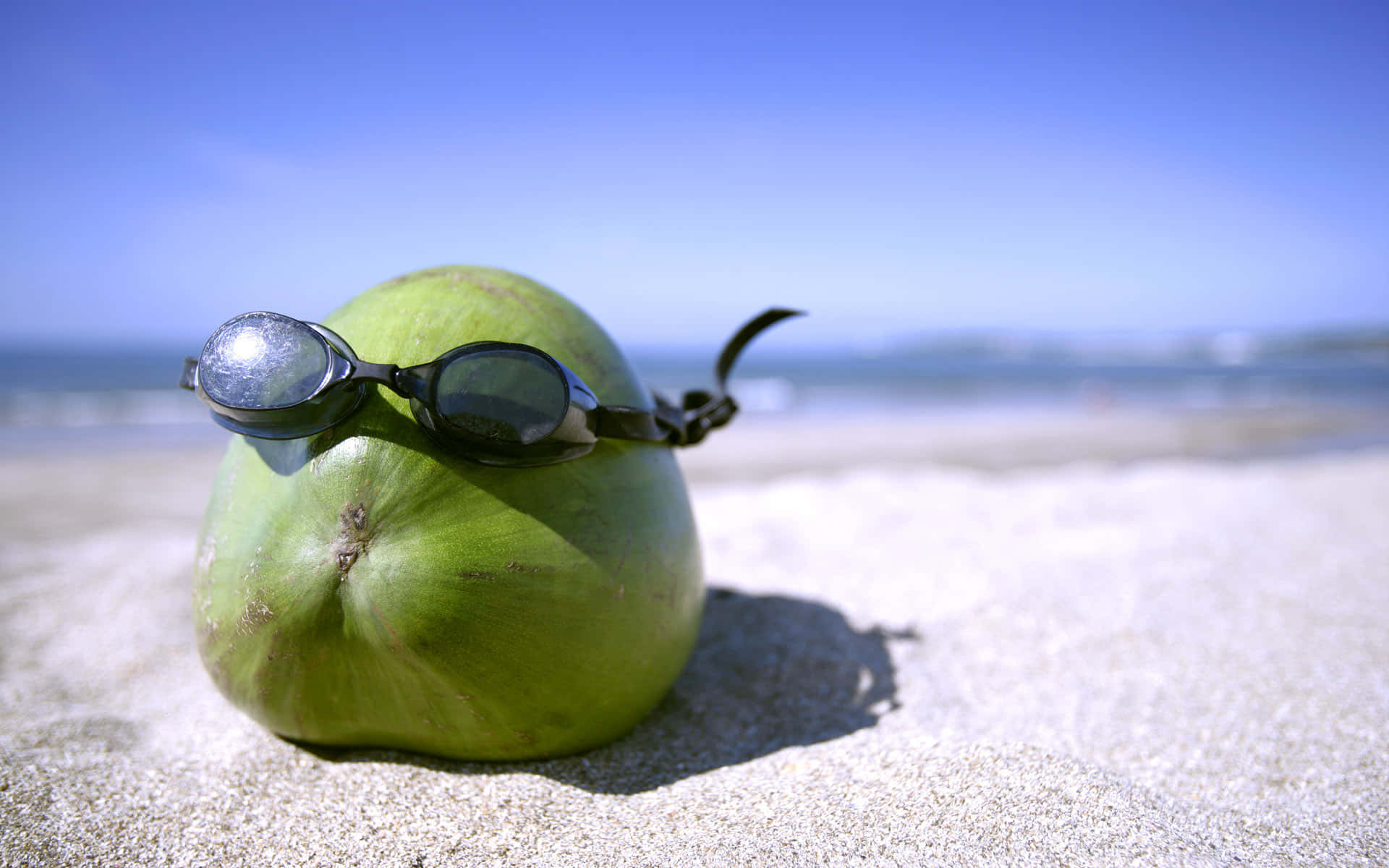 Coconut With Sunglasses Funny Beach Picture