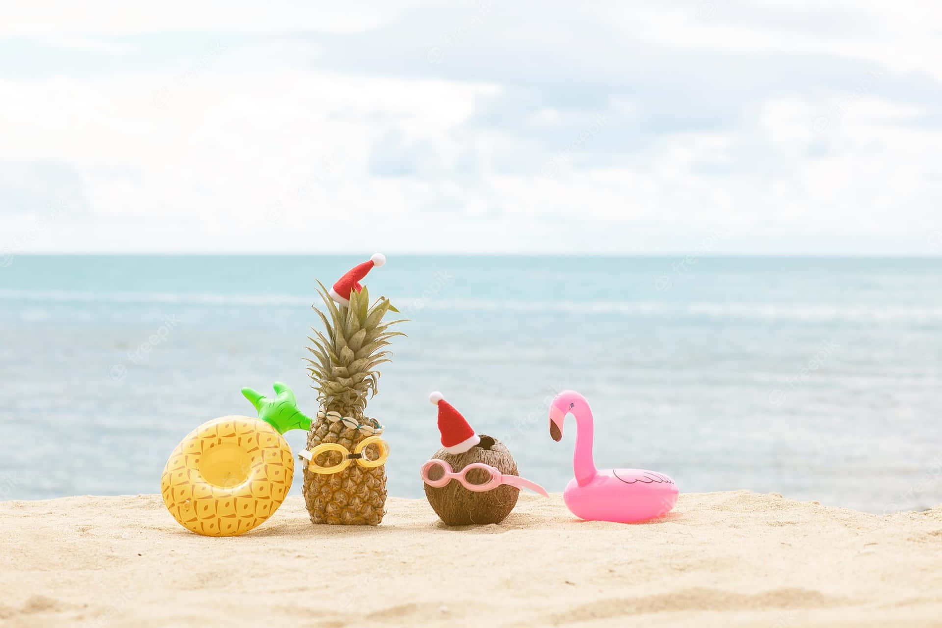 Tropical Fruits Flamingo Funny Beach Picture