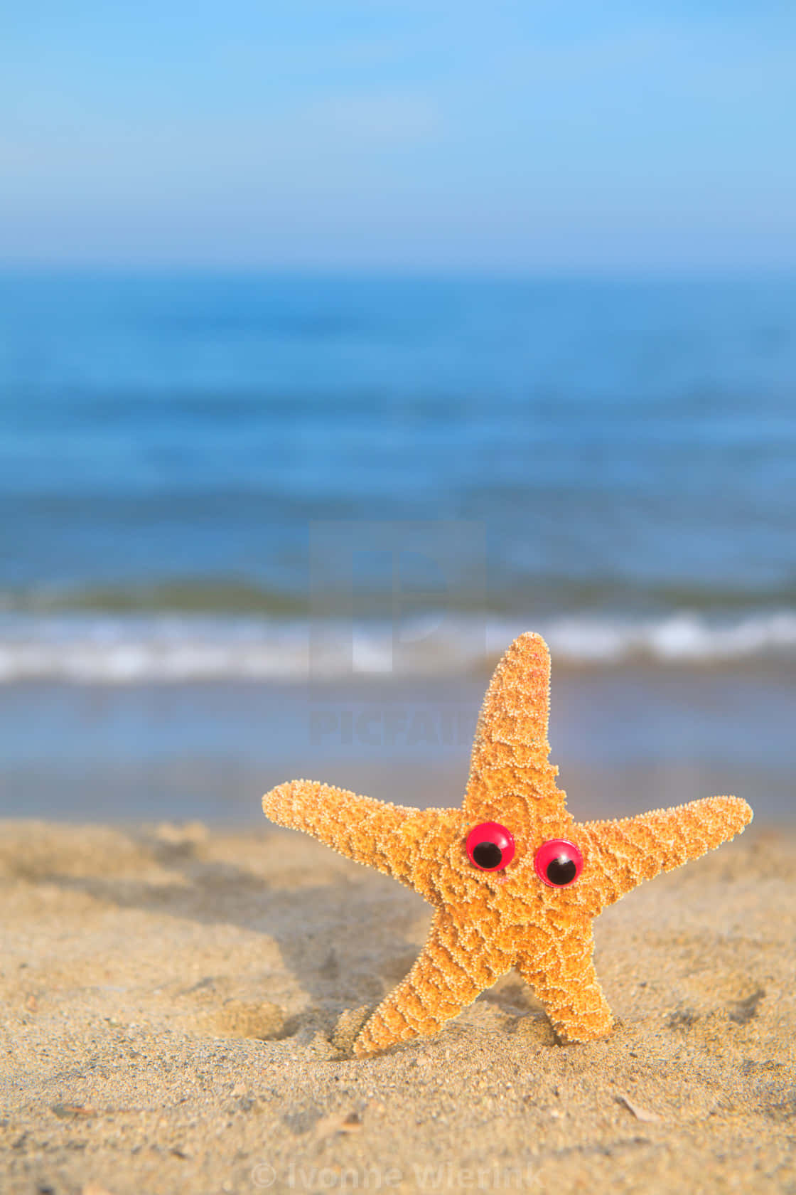 Starfish On Funny Beach Picture