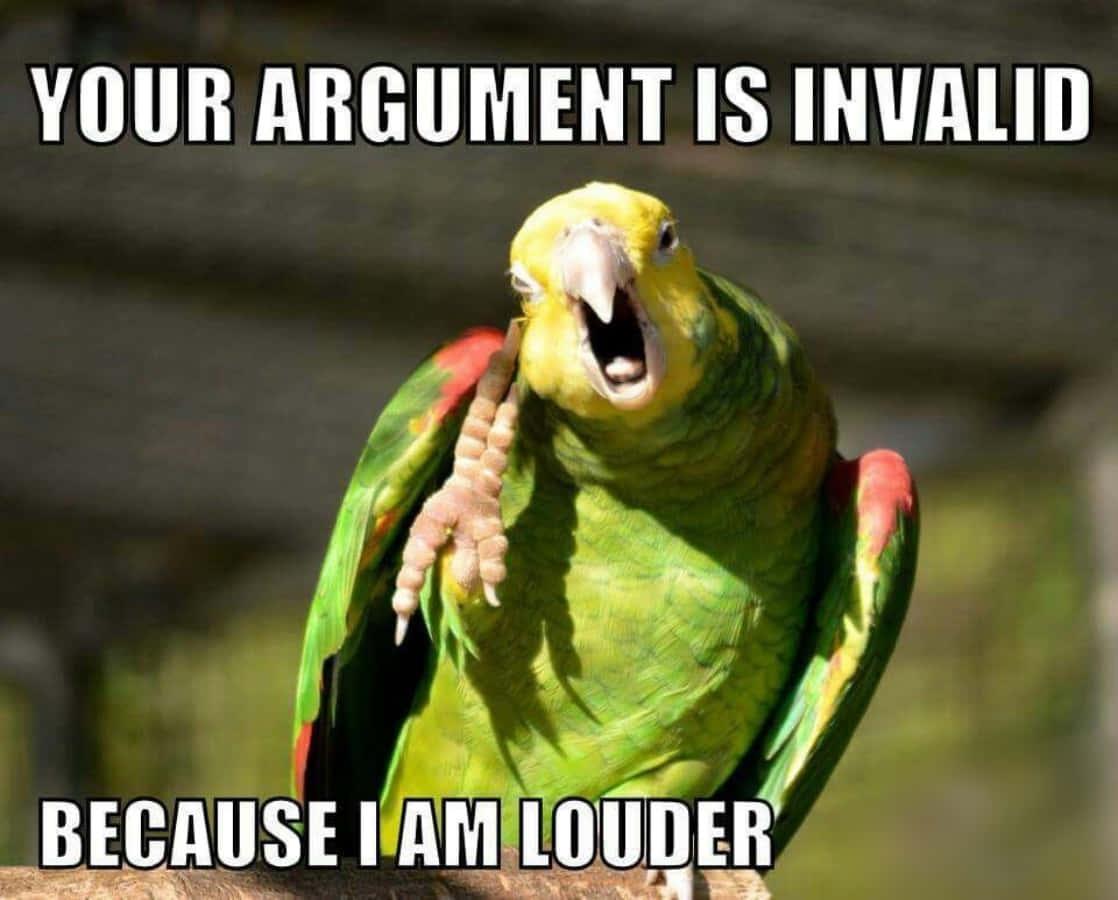 Funny Bird Meme Picture