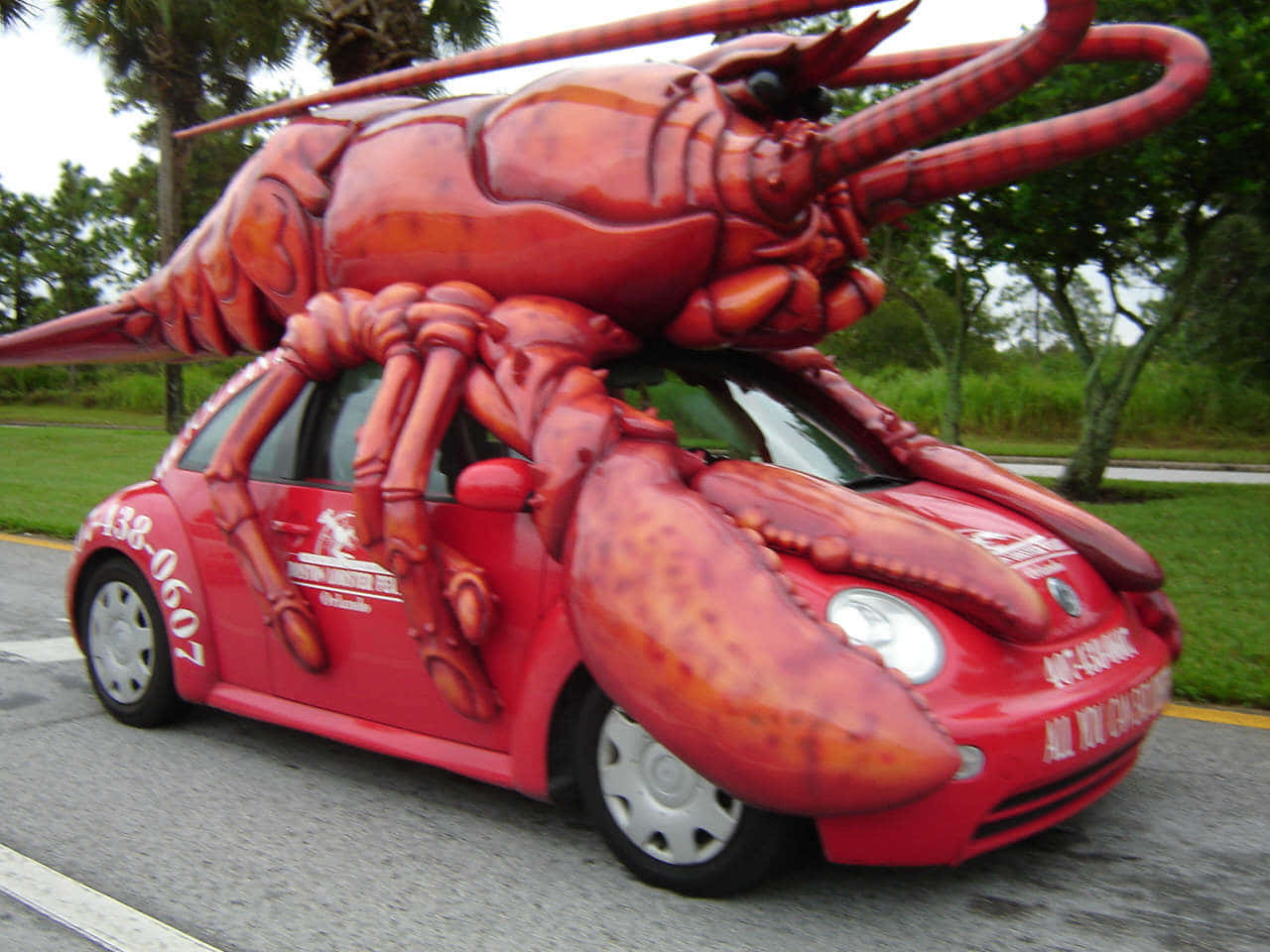 Funny Lobster Cars Picture