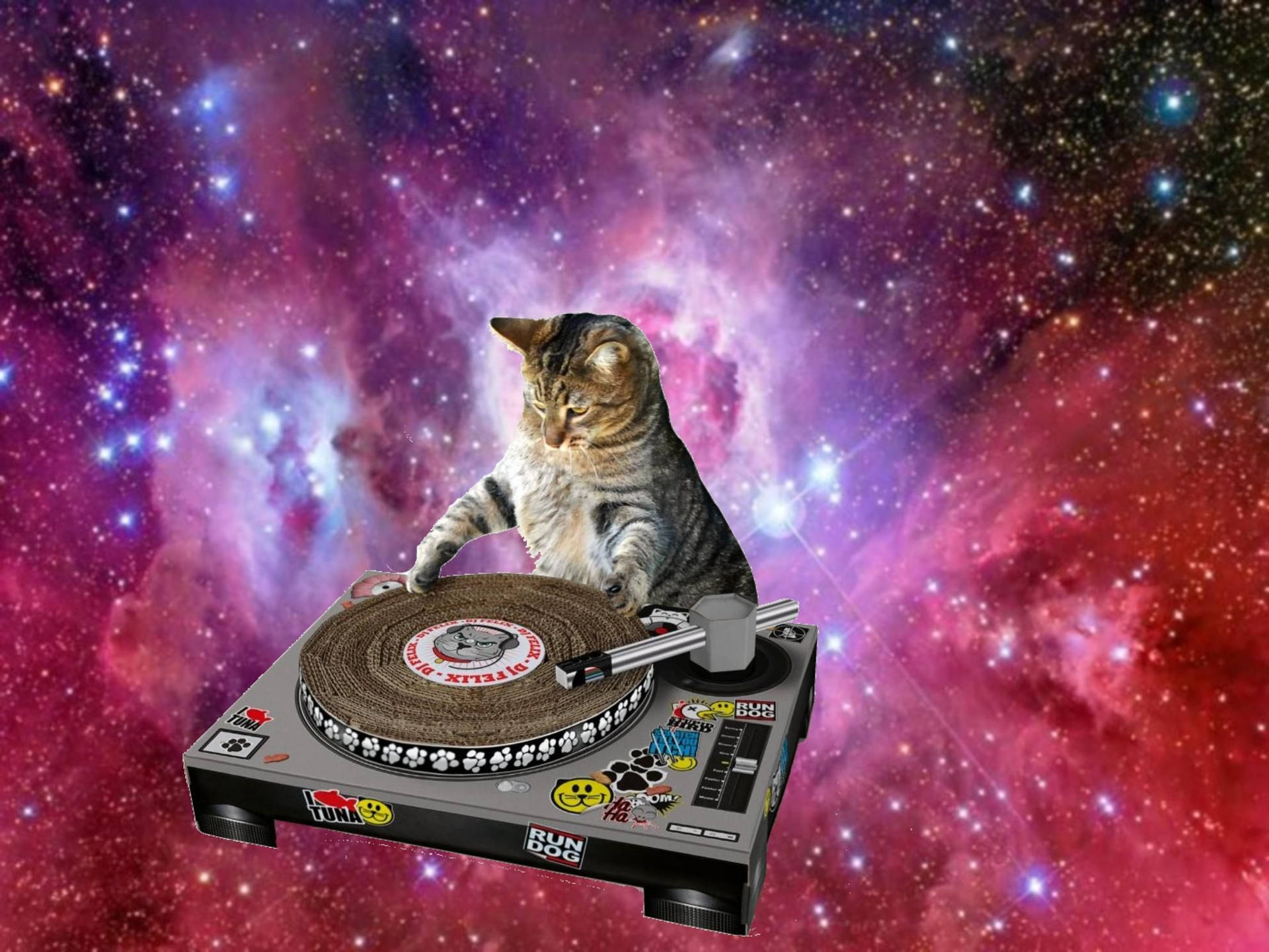 Funny Cat Dj Playing In Space Background