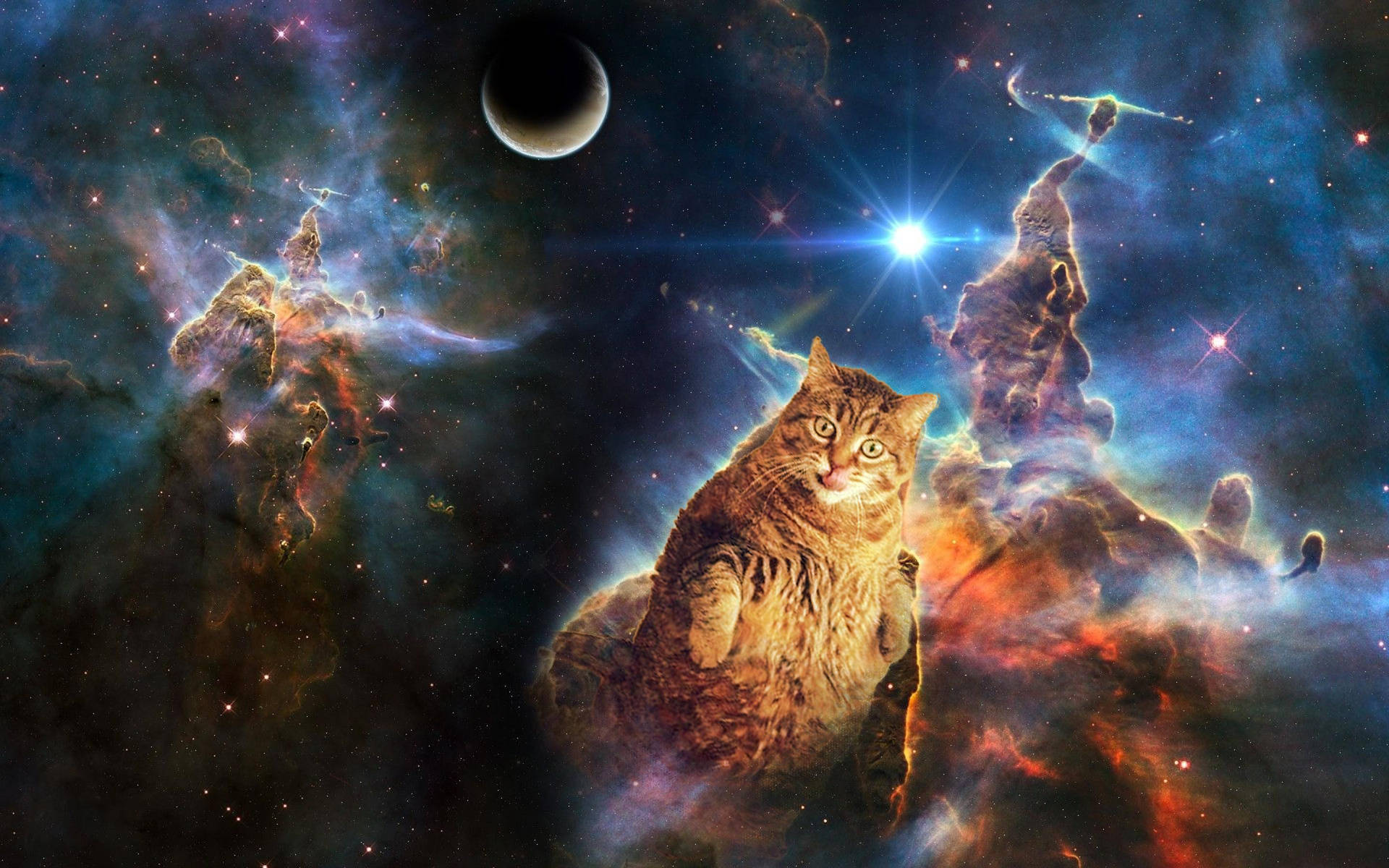 Funny Cat In Galaxy Background
