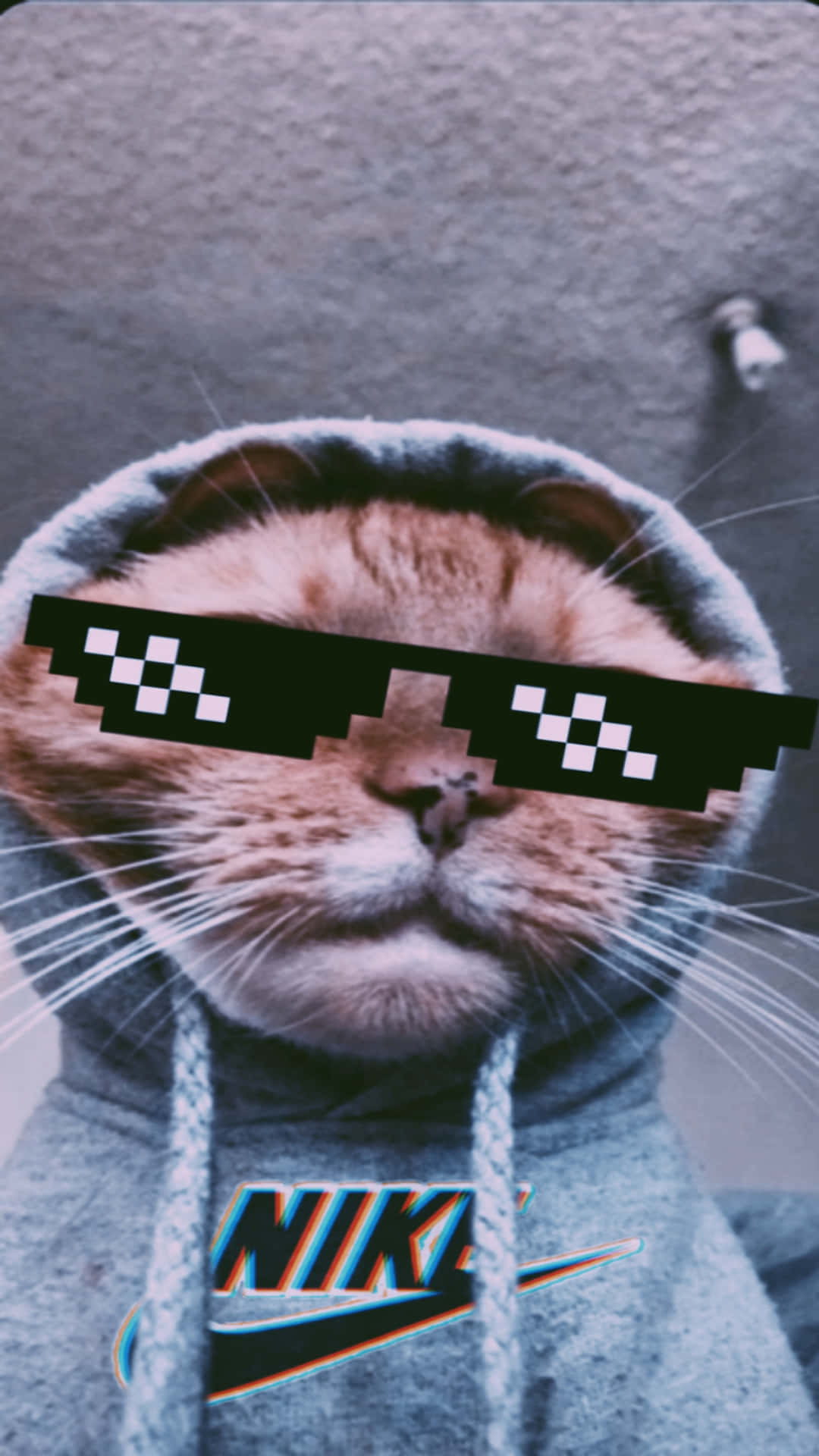 Memesgraciosos De Gatos, Gato Con Sudadera Con Capucha E Imagen De Gato Con Gafas De Sol En Estilo 8 Bits.