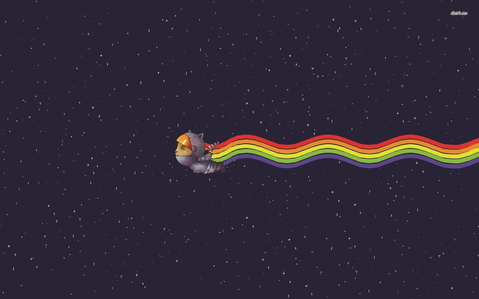 Funny Cat Rainbow Outer Space Background
